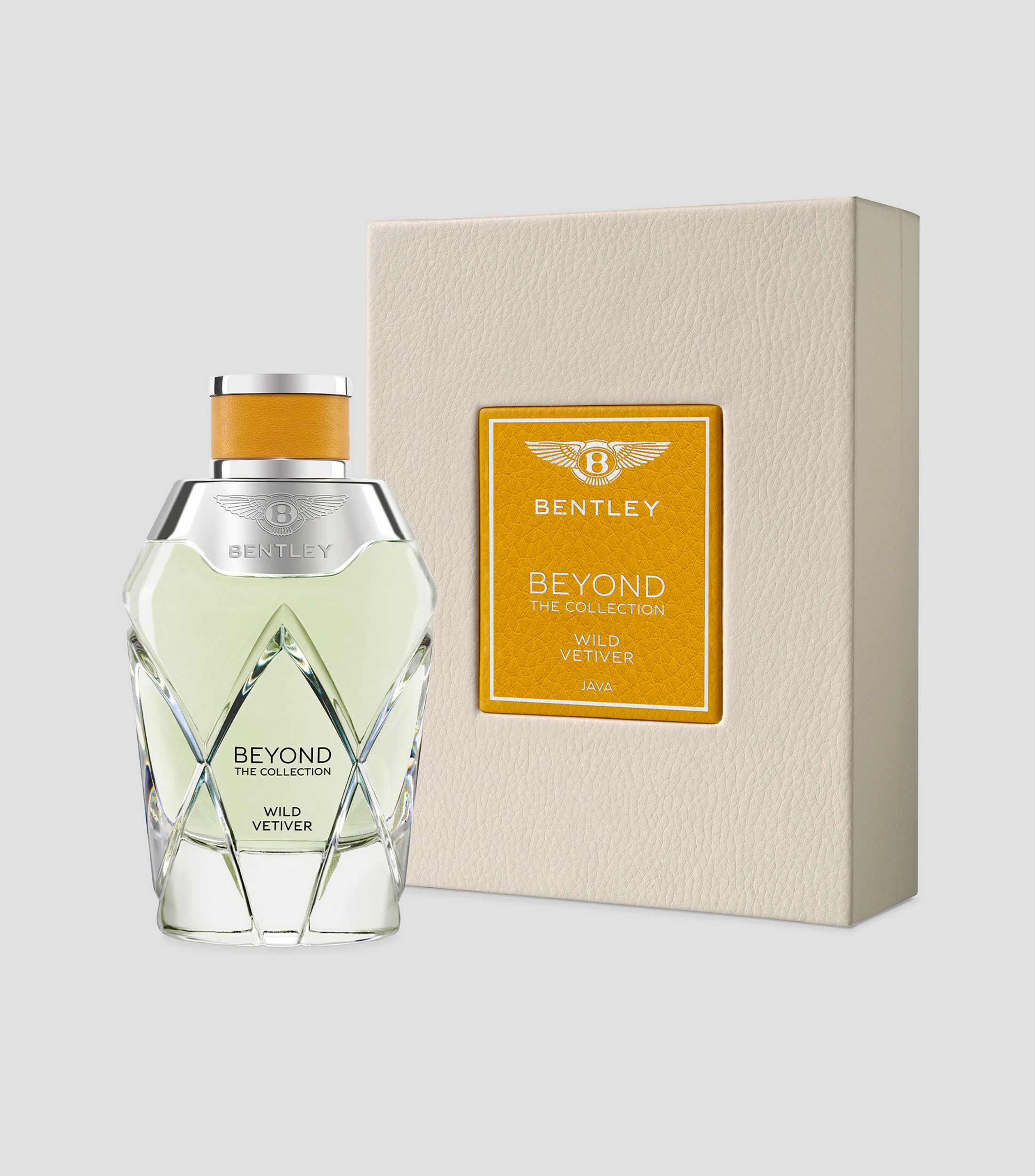 Perfume Beyond Wild Vetiver Eau de Parfum, 100 ml Unisex