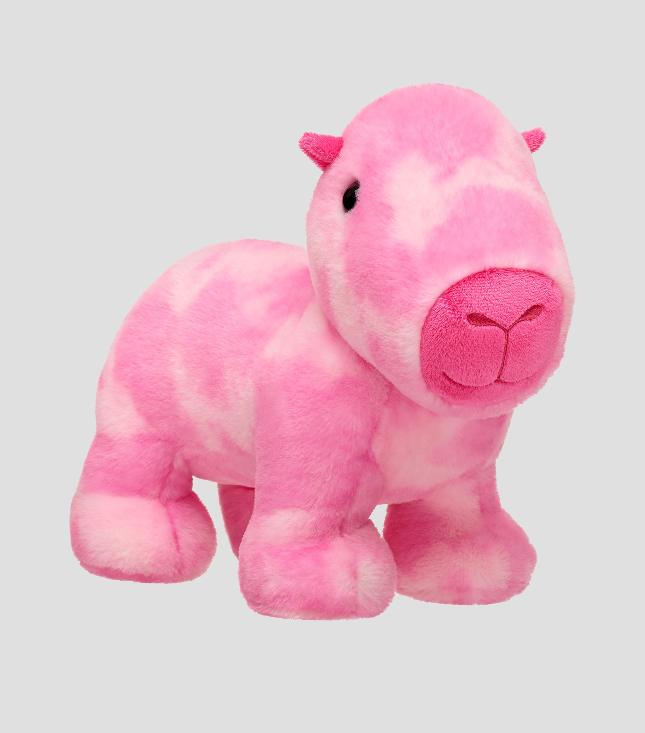 Peluche Capibara Tie Dye