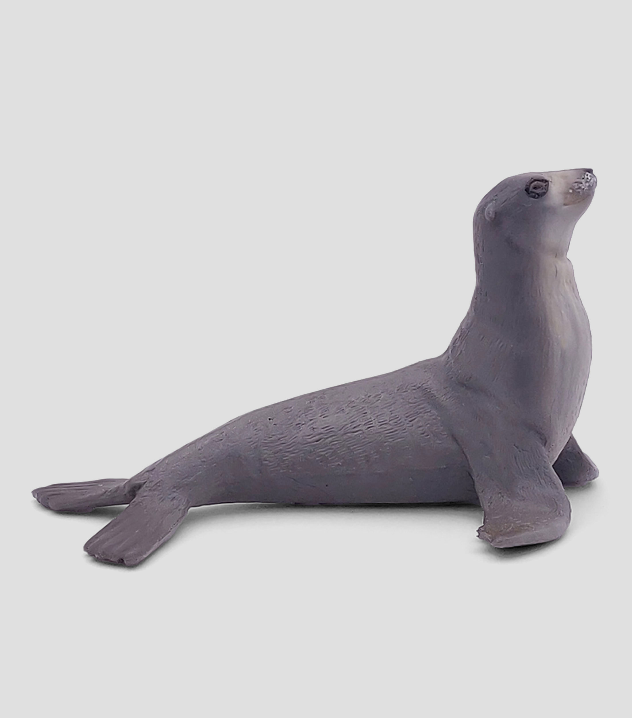 Figura de Leon Marino
