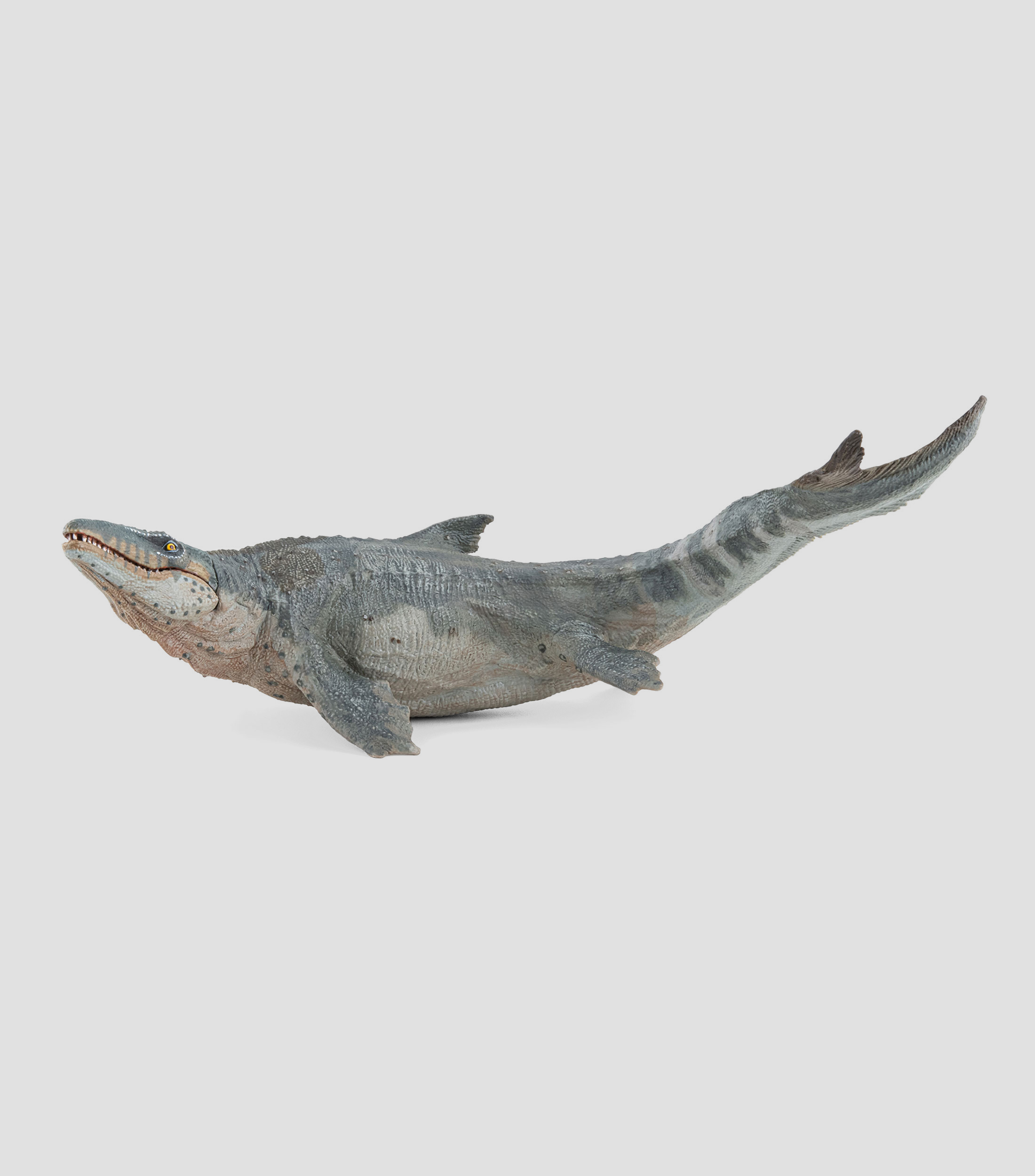 Mosasaurus