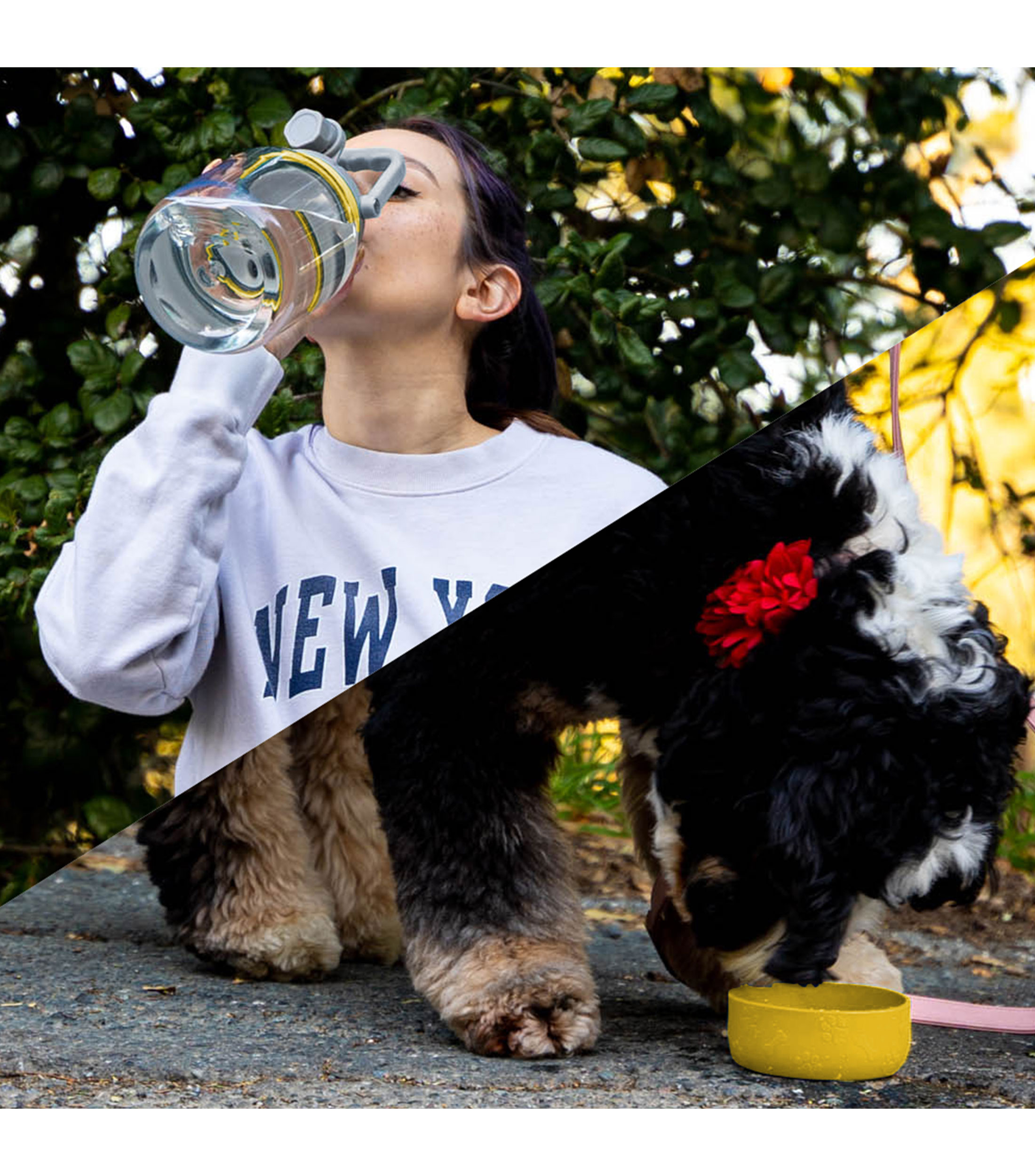 Botella Personal y Mascota Amarillo