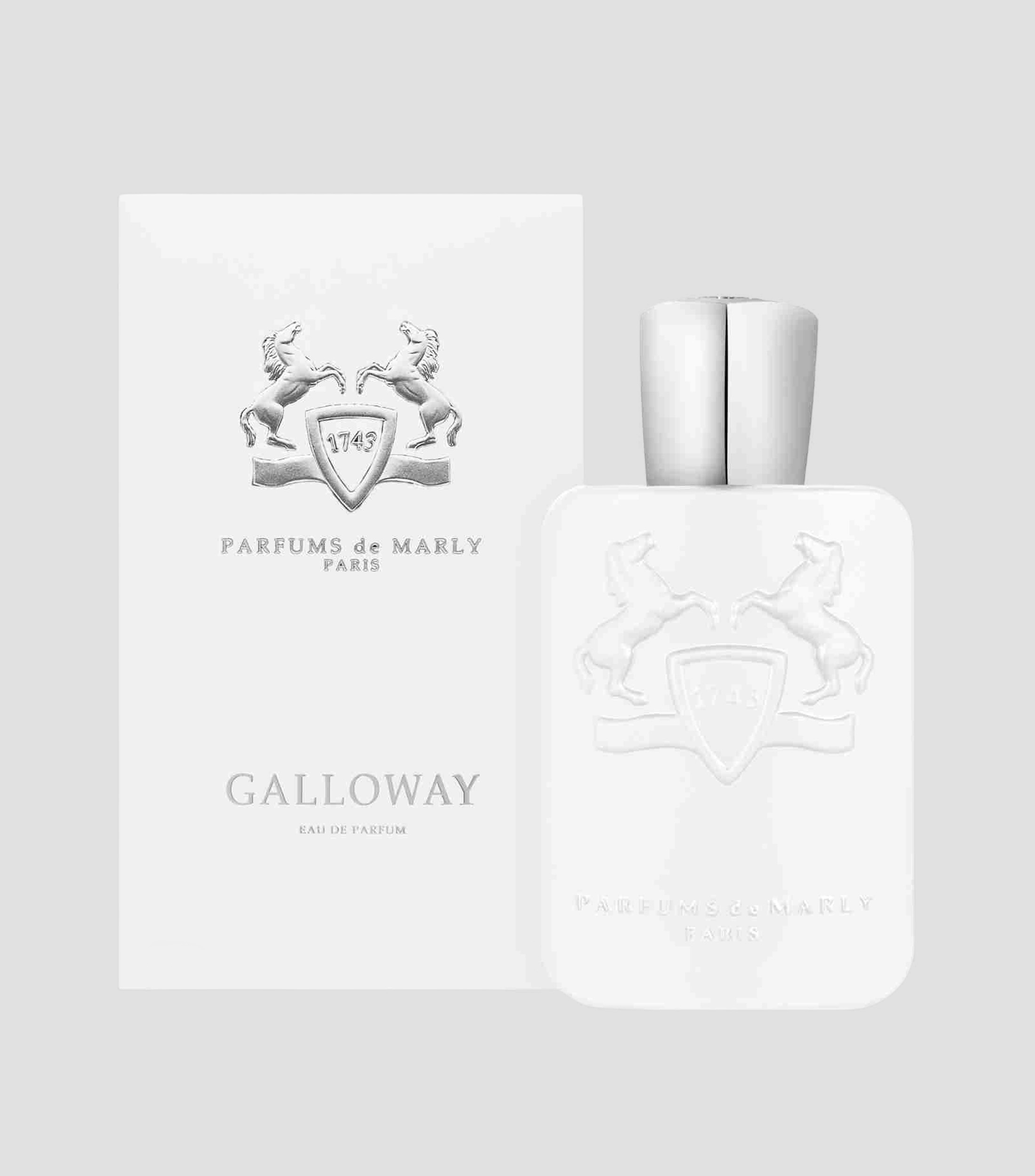 Perfume Galloway Eau de Parfum 125 ml para Hombre