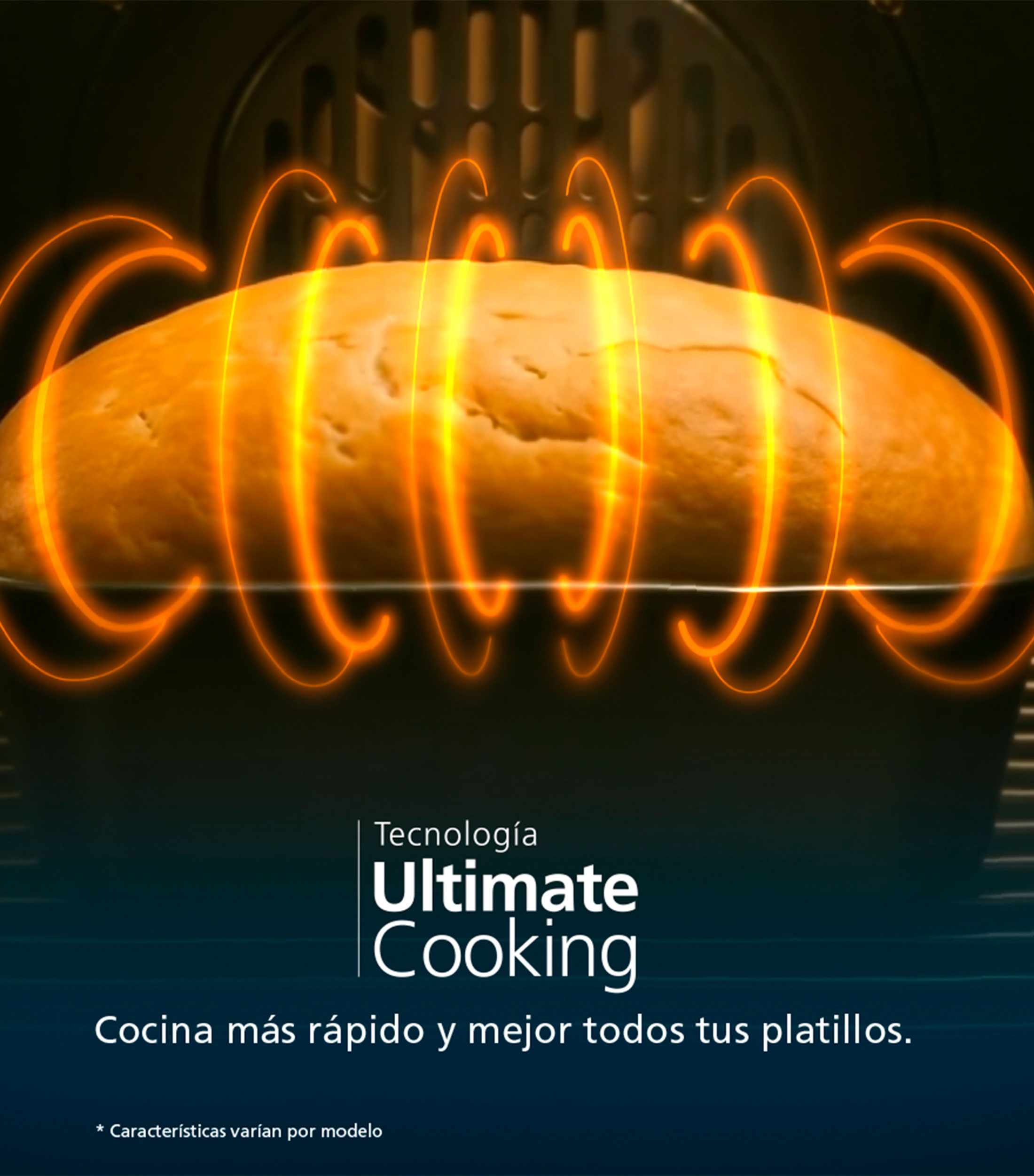 Horno eléctrico 23.6" en acero inoxidable