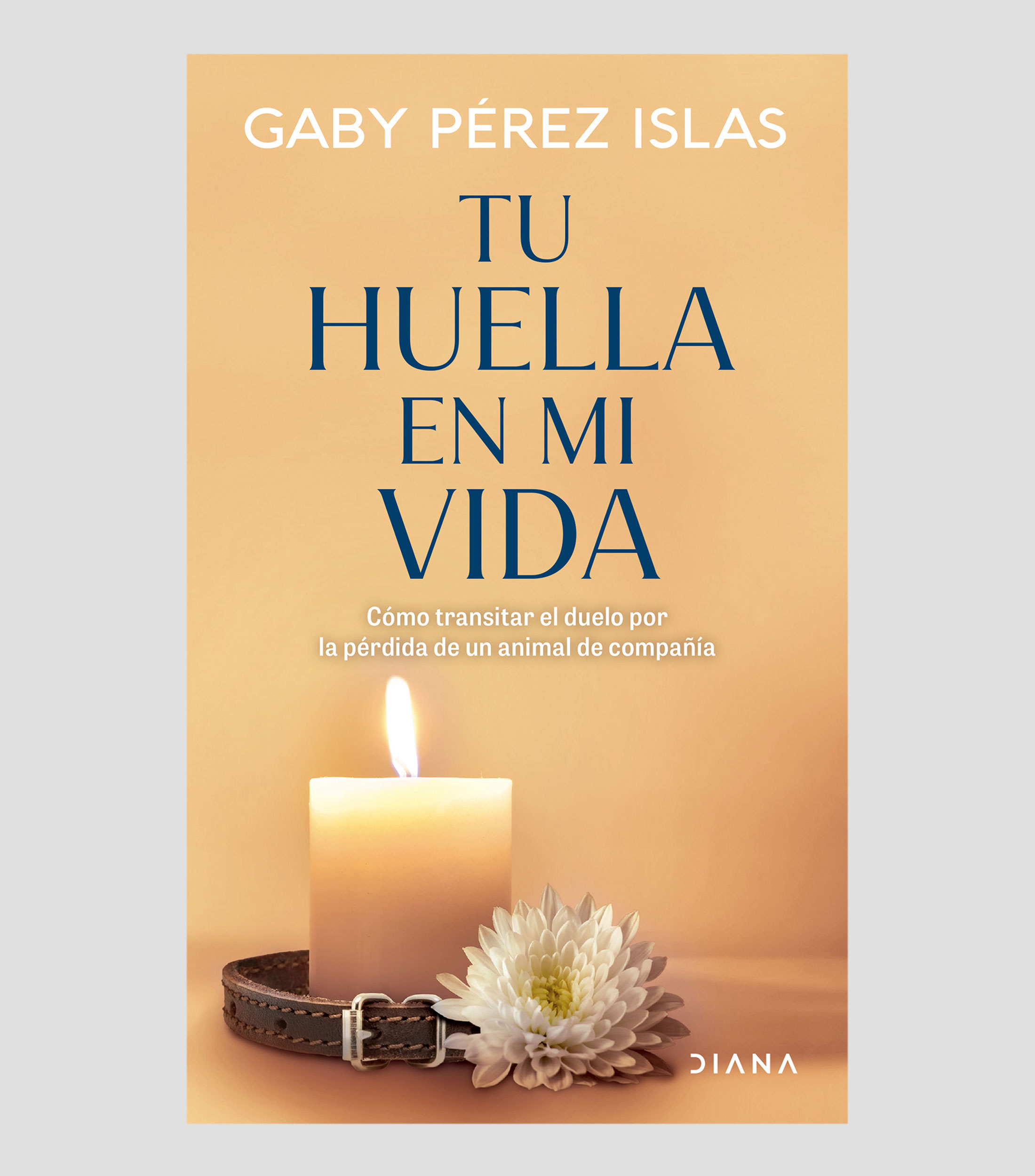Superación PersonalTu huella en mi vida, Gaby Pérez Islas
