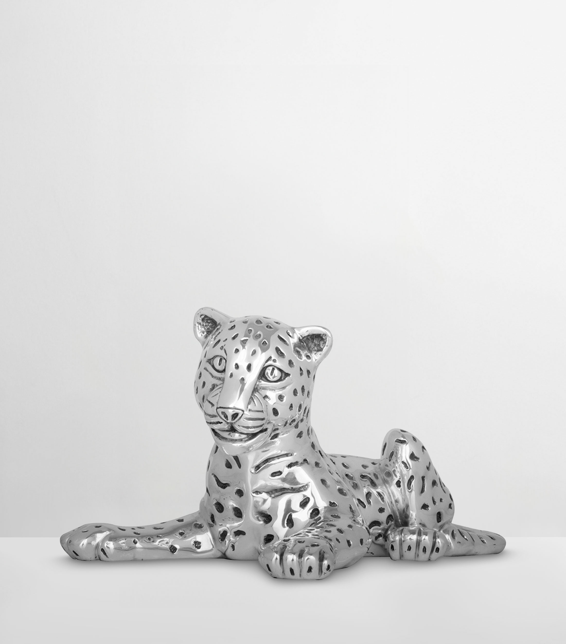 Leopardo