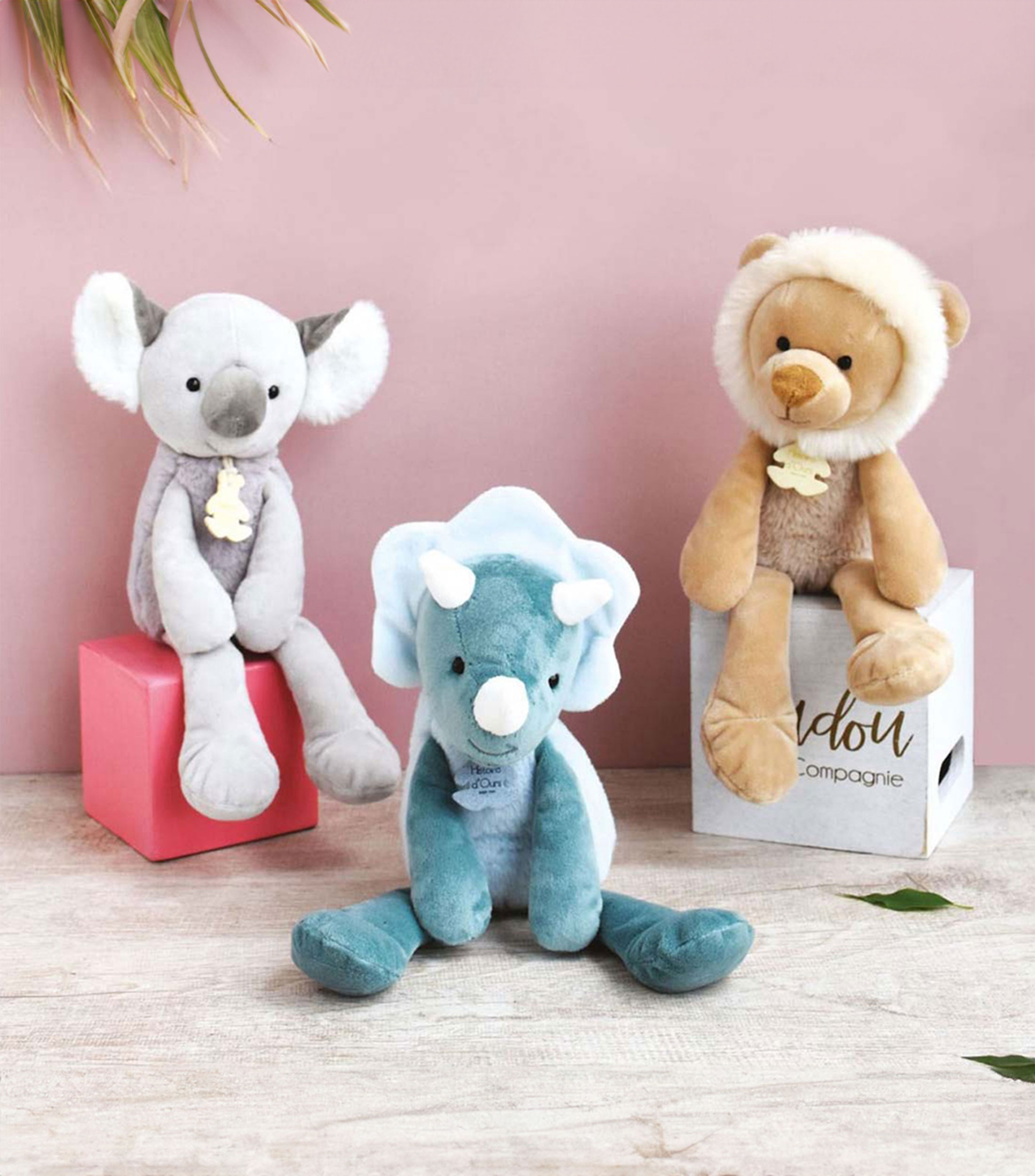 Koala de Peluche Sweety