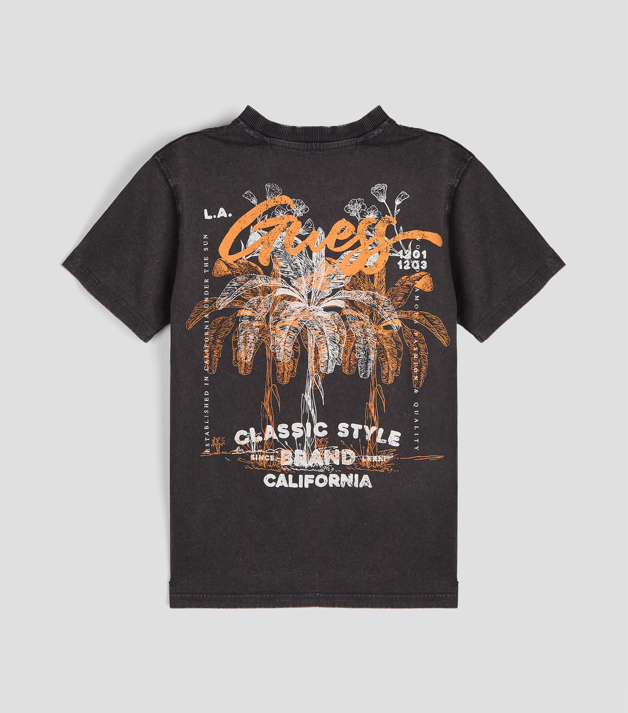 Playera cuello redondo manga corta deslavada Niño