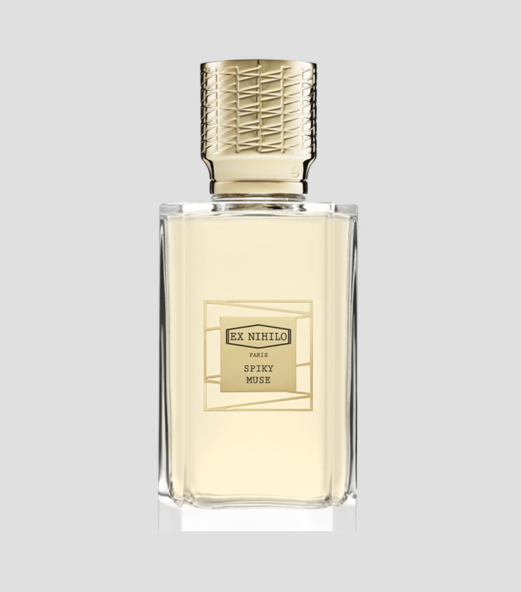 Perfume Spiky Muse, Eau de Parfum 100 ml Unisex