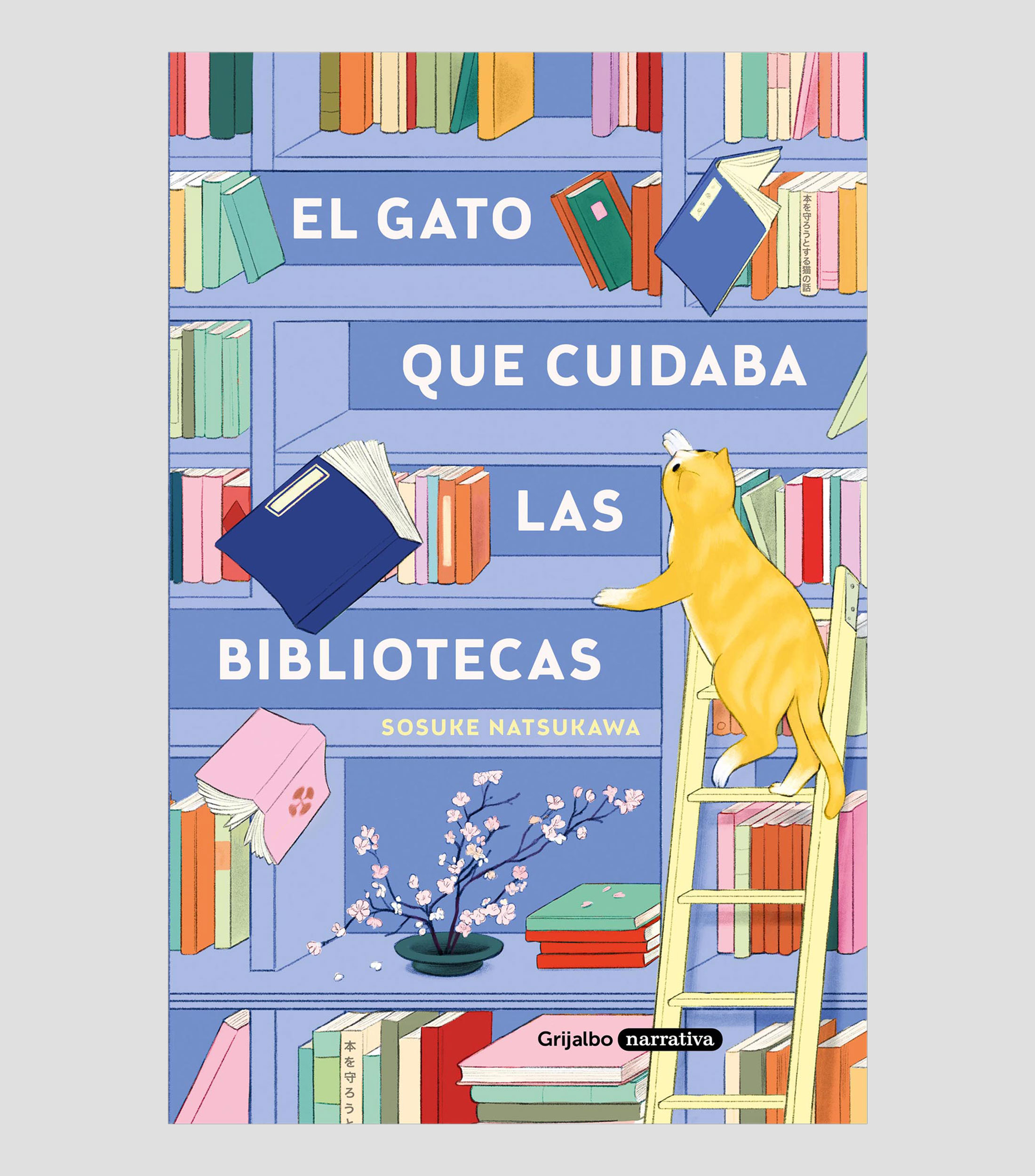 NovelaEl gato que cuidaba las bibliotecas, Sosuke Natsukawa, Juan Francisco González Sánchez