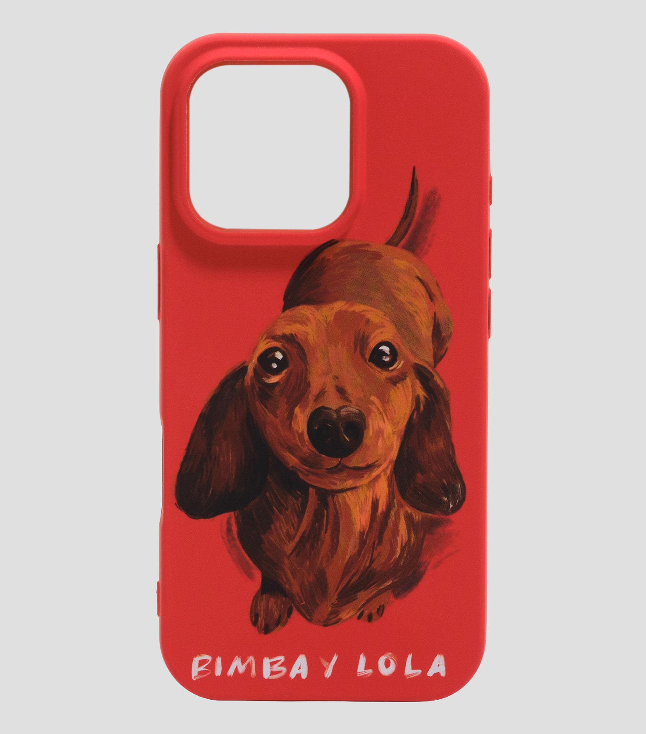 Funda rígida iPhone 16 Pro teckel roja