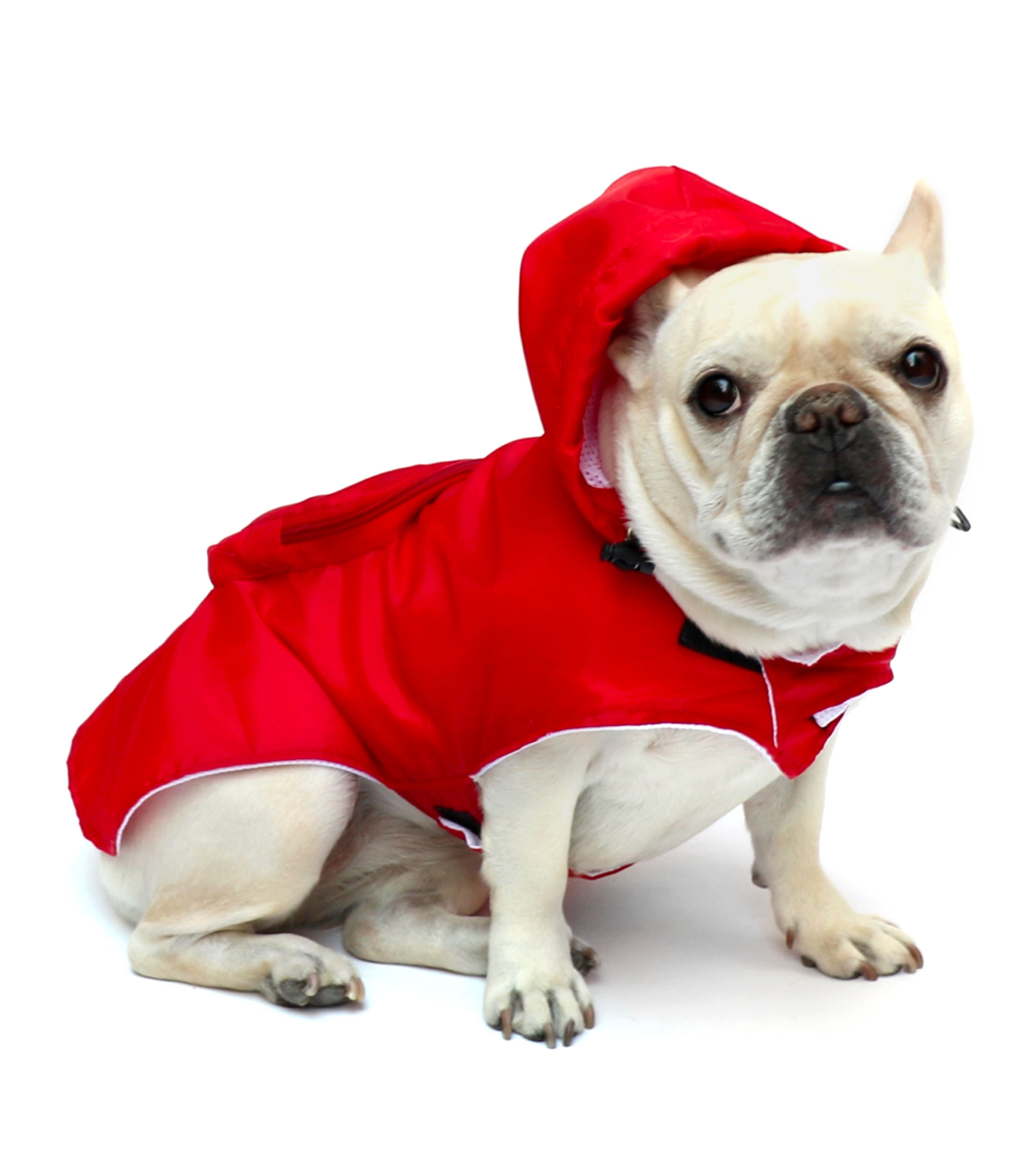 Impermeable para Perro