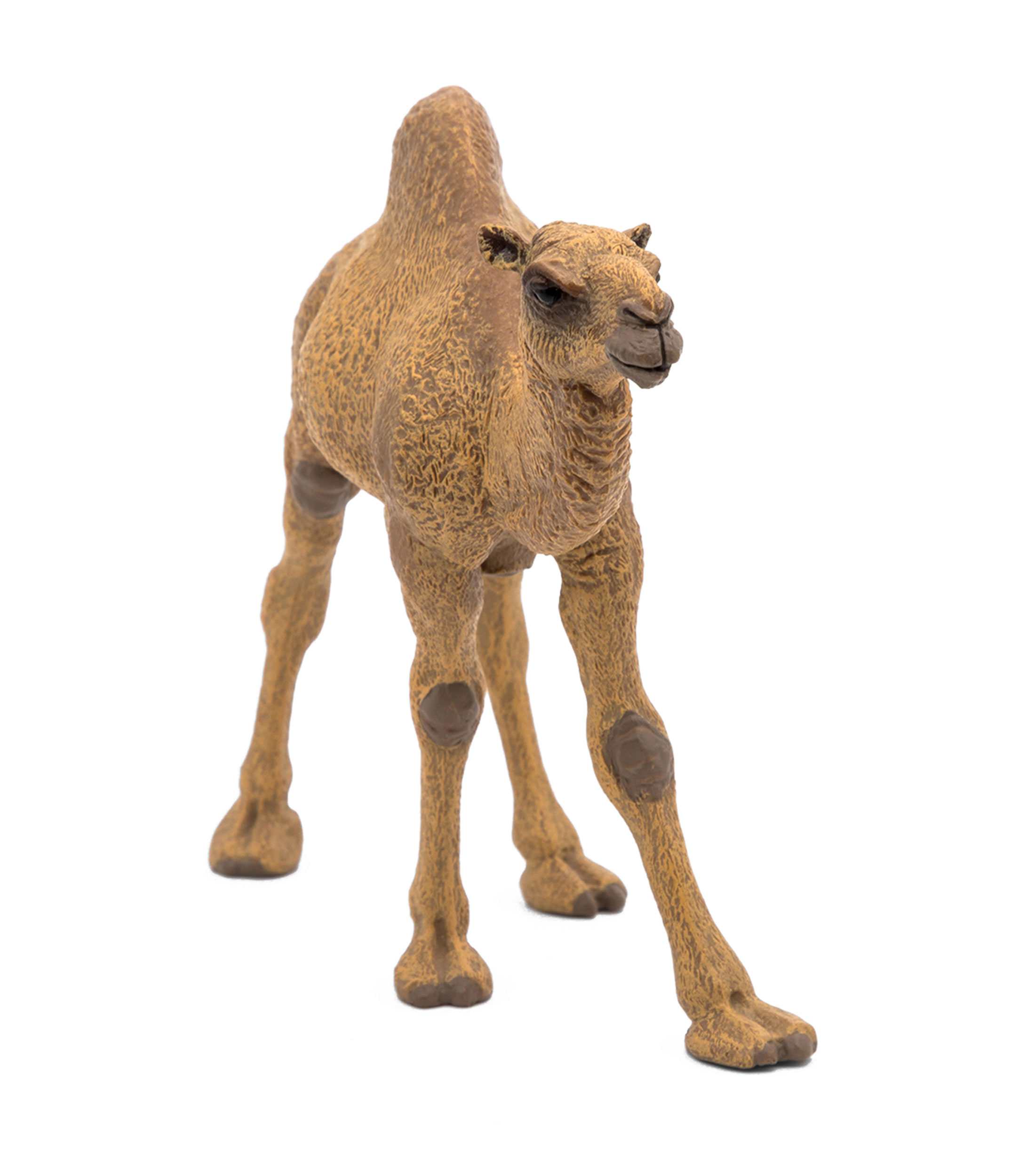 Figura Dromedario