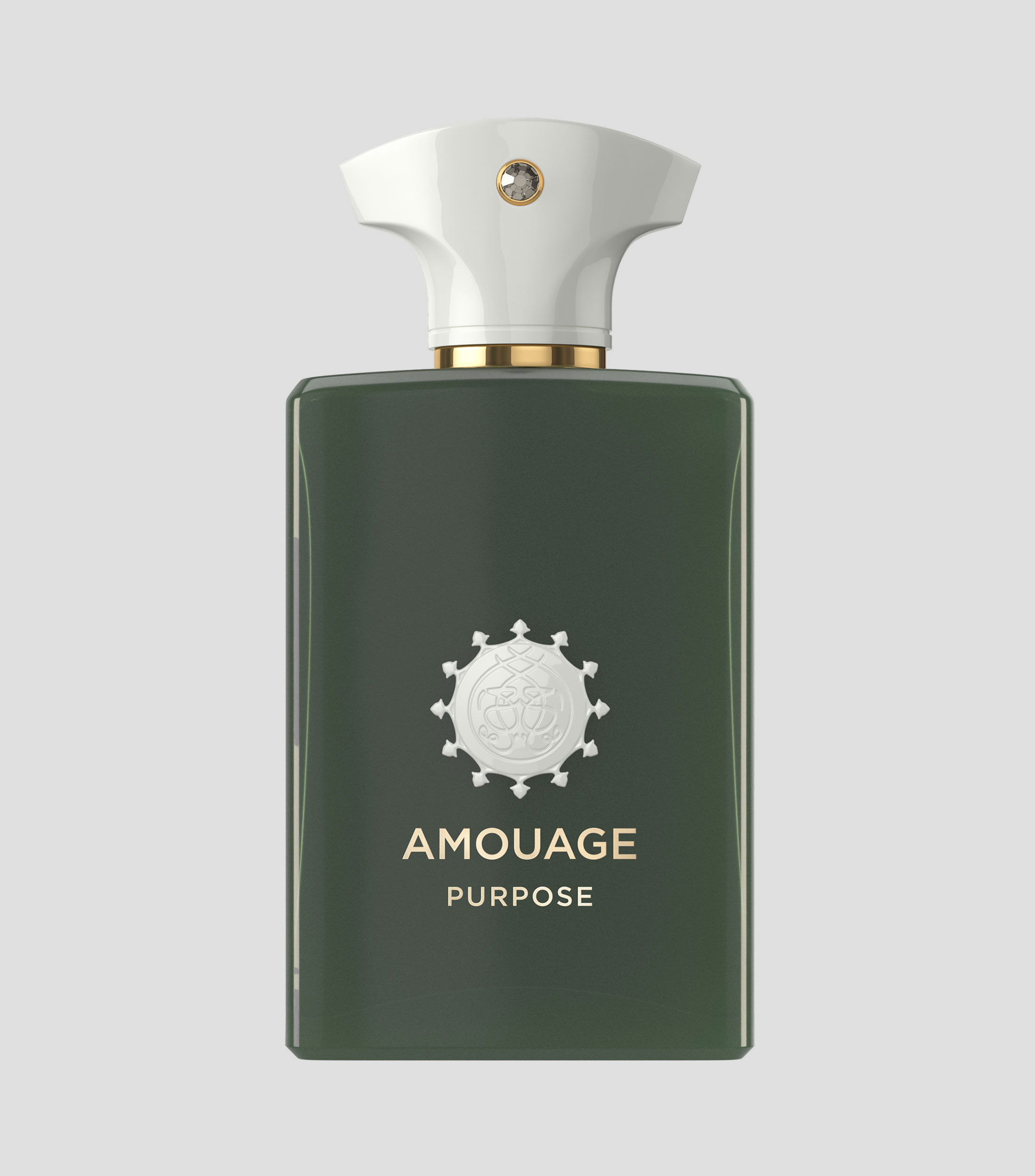 Perfume Purpose Eau de Parfum, 100 ml Unisex