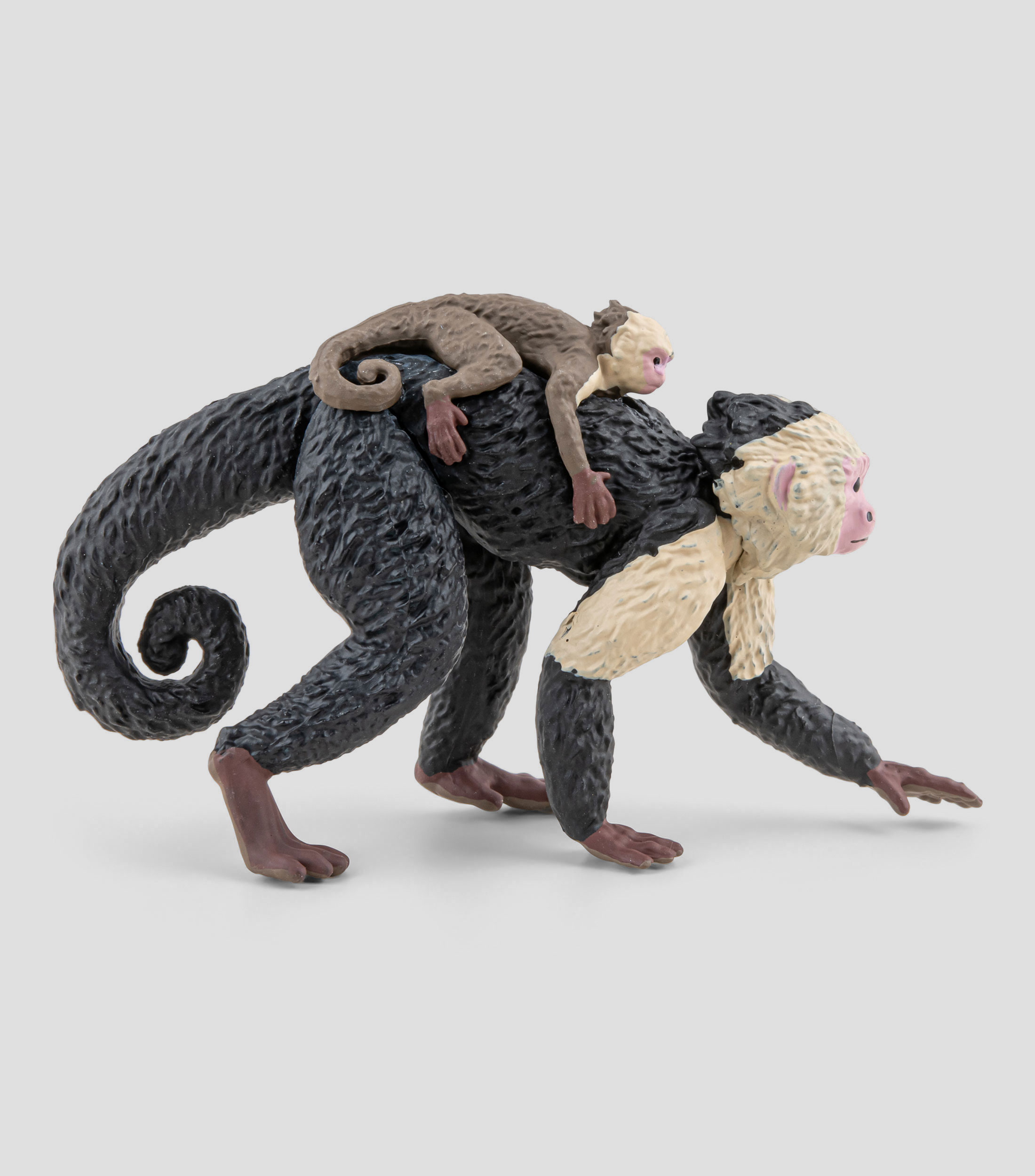 Figura de Mono Capuchino
