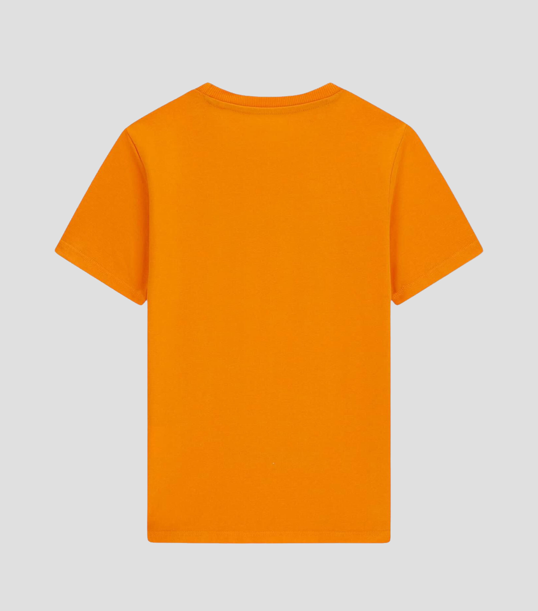 Playera cuello redondo manga corta estampada Niño