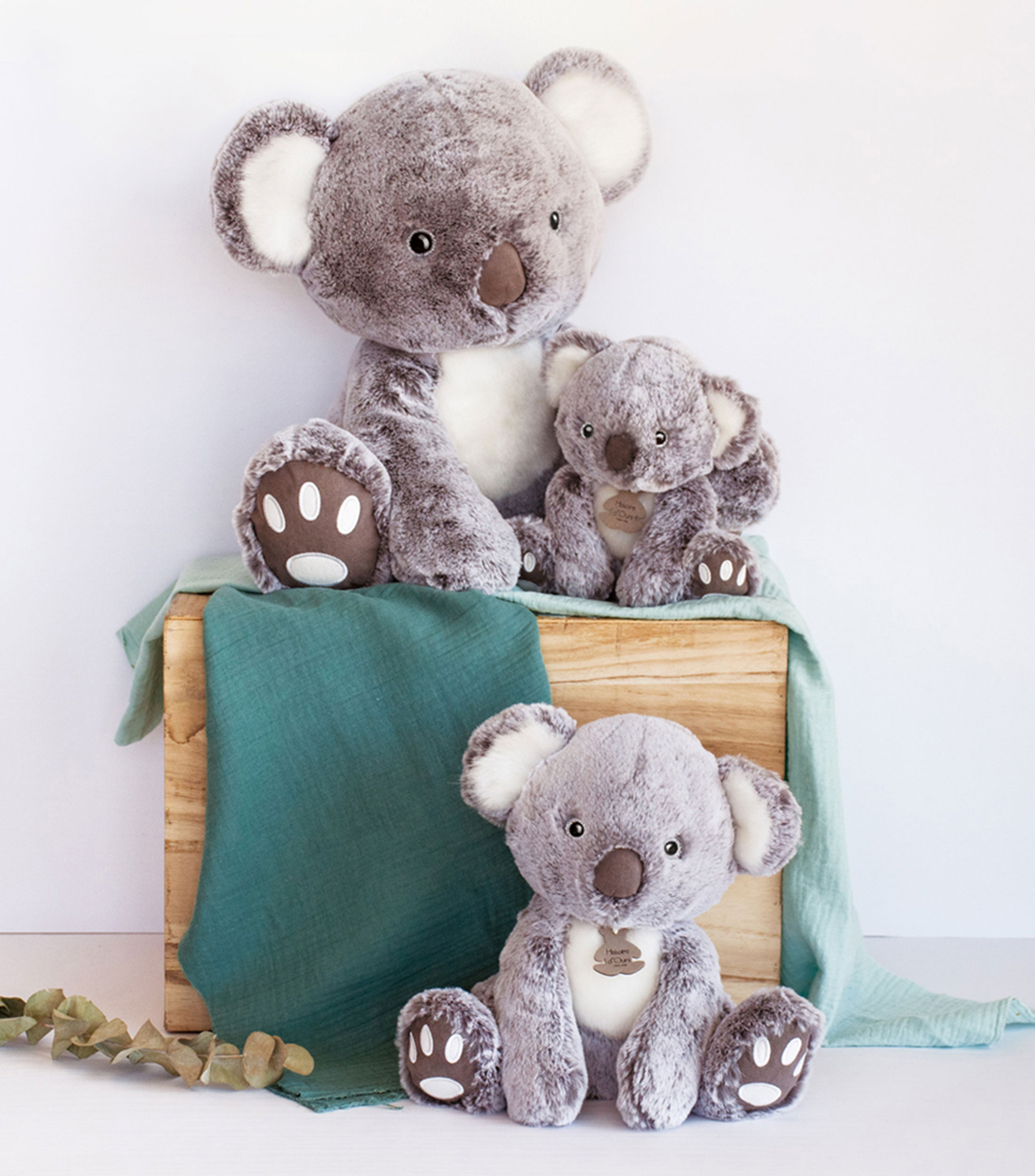 Koala de peluche 25 cm