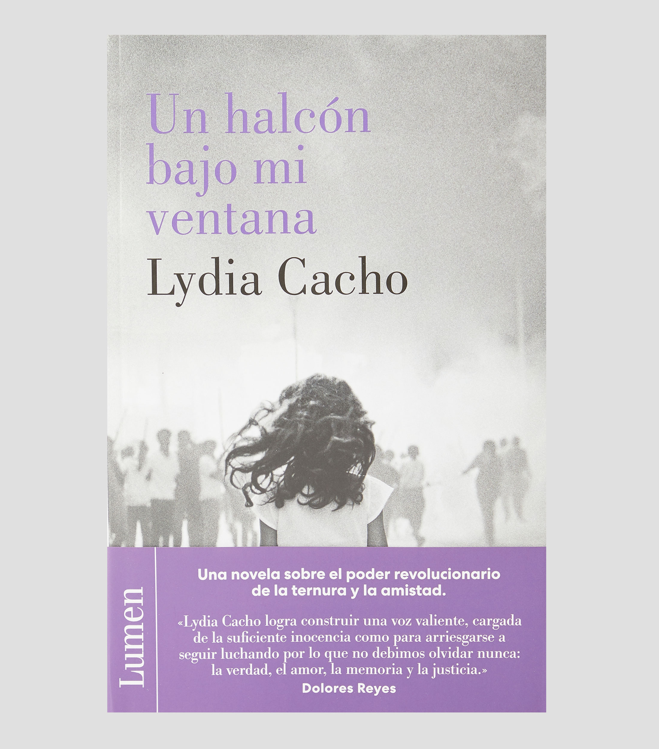 NovelaUn Halcón bajo mi ventana, Lydia Cacho