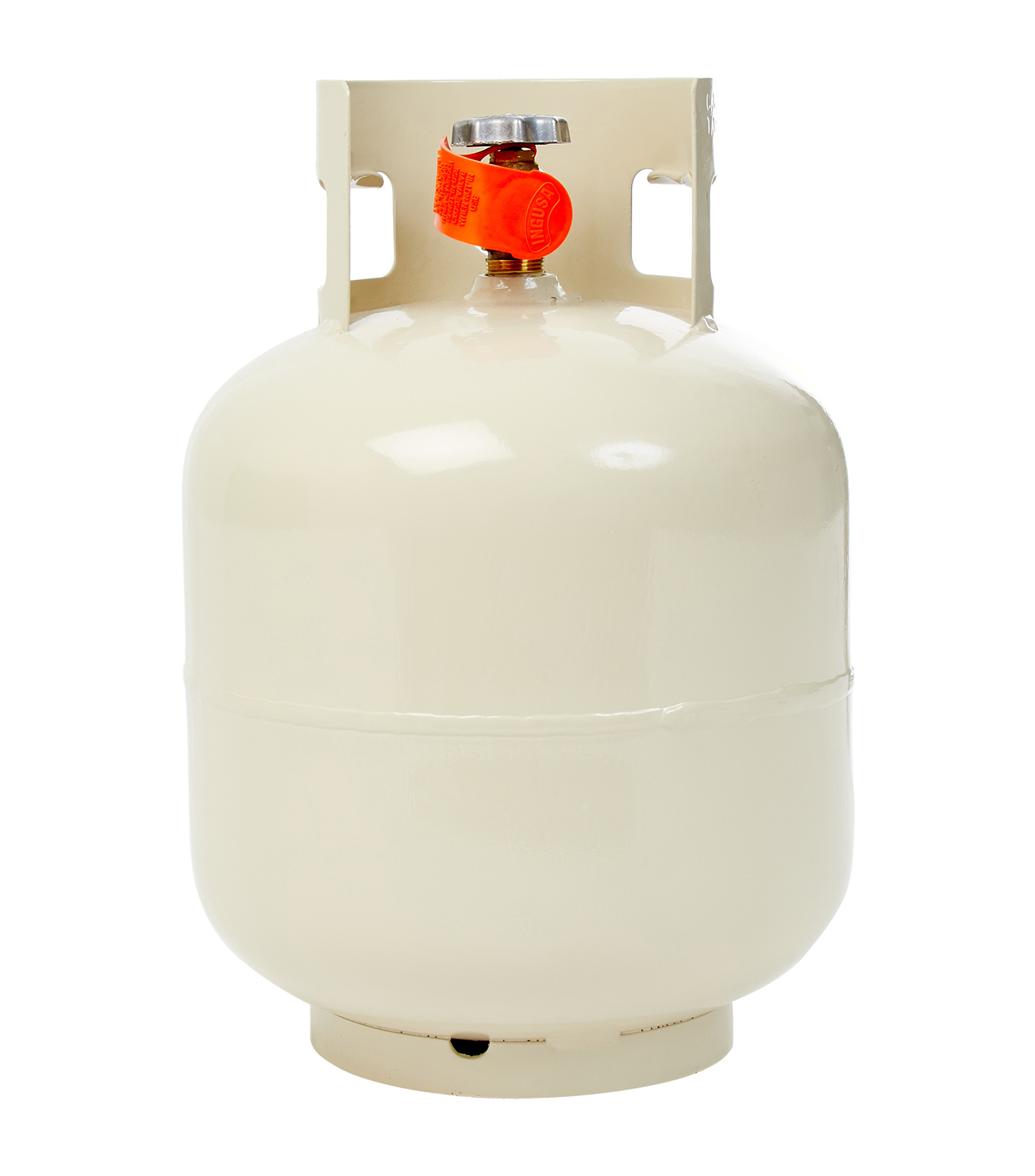 Weber Tanque de Gas LP 10 Kg El Palacio de Hierro