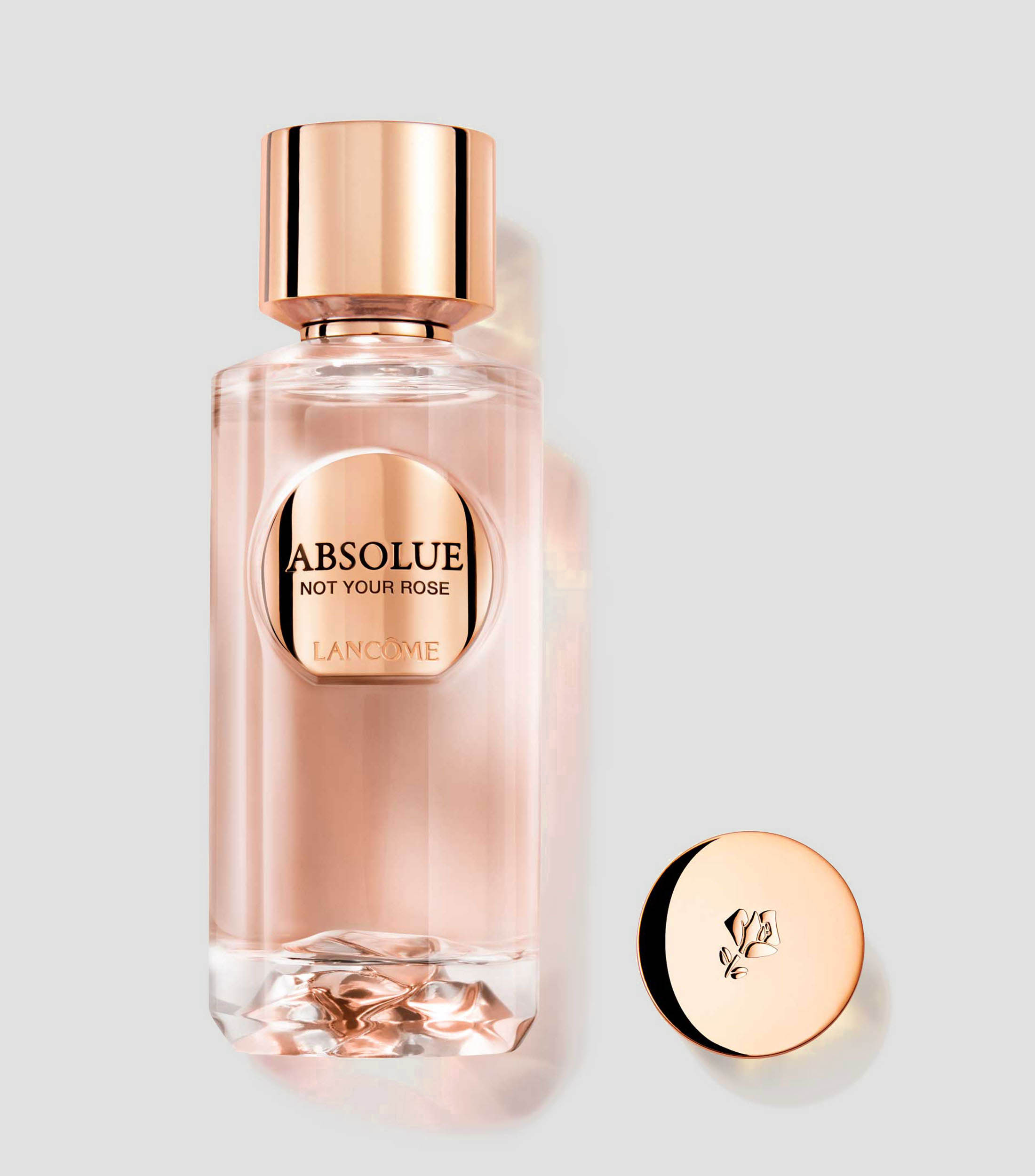 Perfume Absolue Not Your Rose, Eau de Parfum, 100 ml Unisex