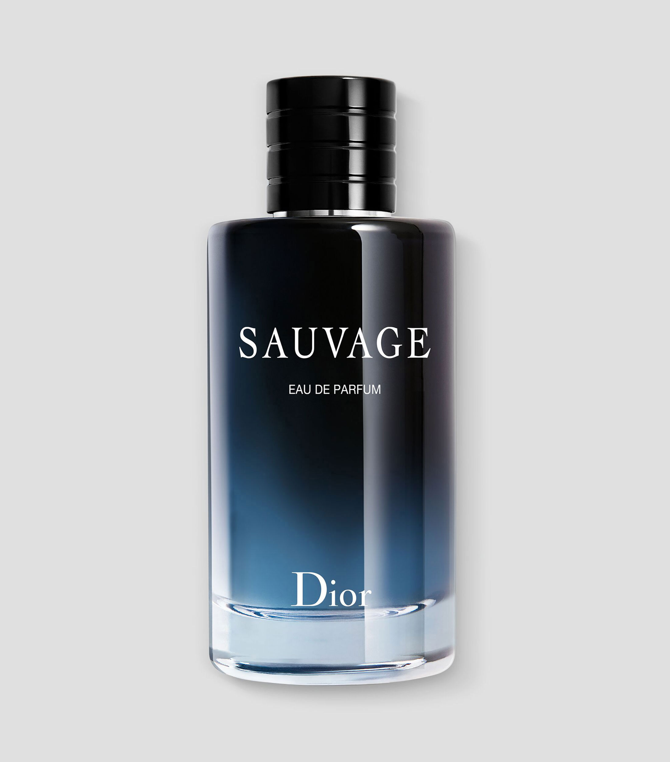 SAUVAGE, EAU DE PARFUM, 100 ML