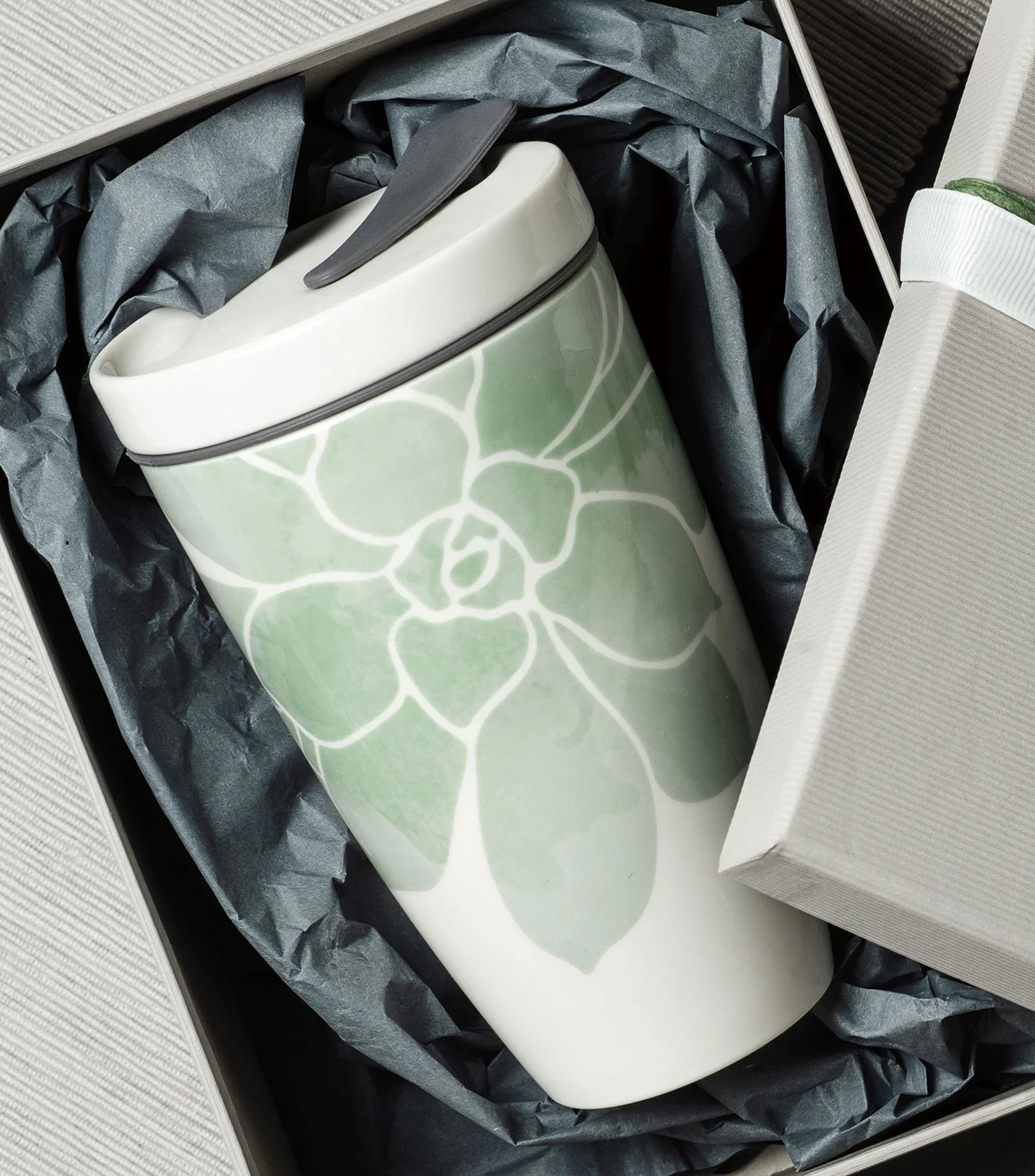 Coffee To Go Succulent