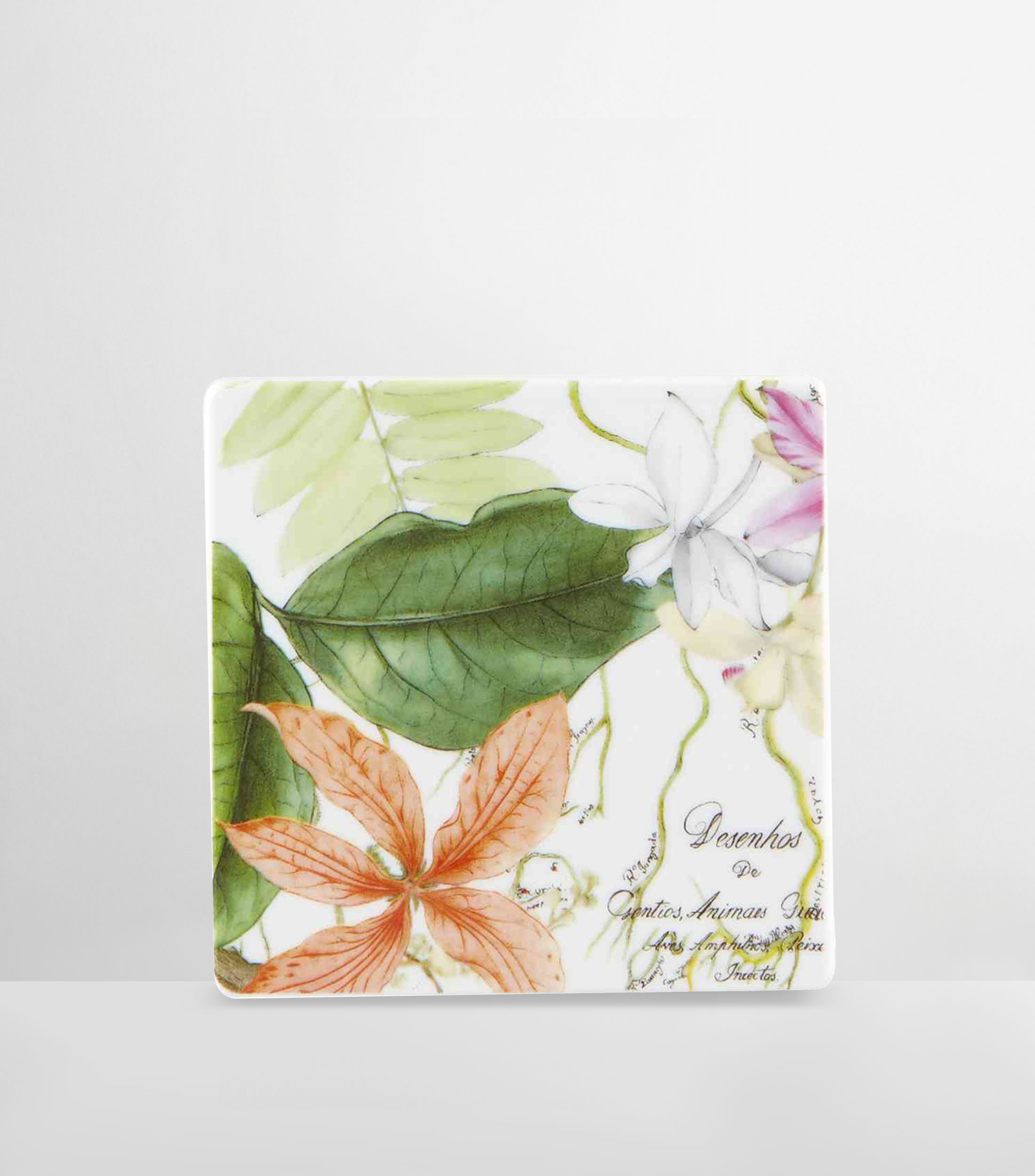 Cj4 Bases Vasos Amazon