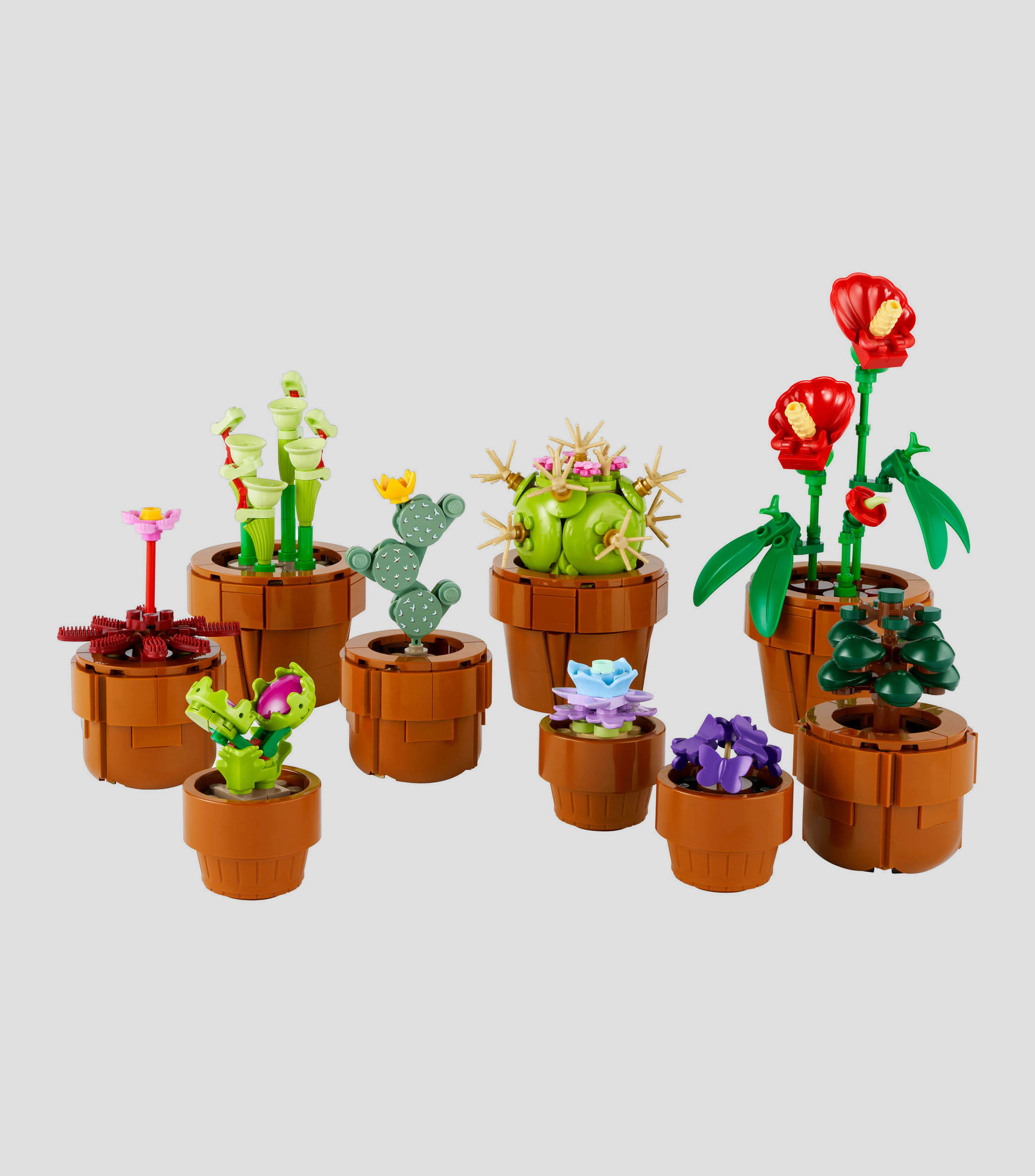 Lego Botanicals Plantas Pequeñas 10329
