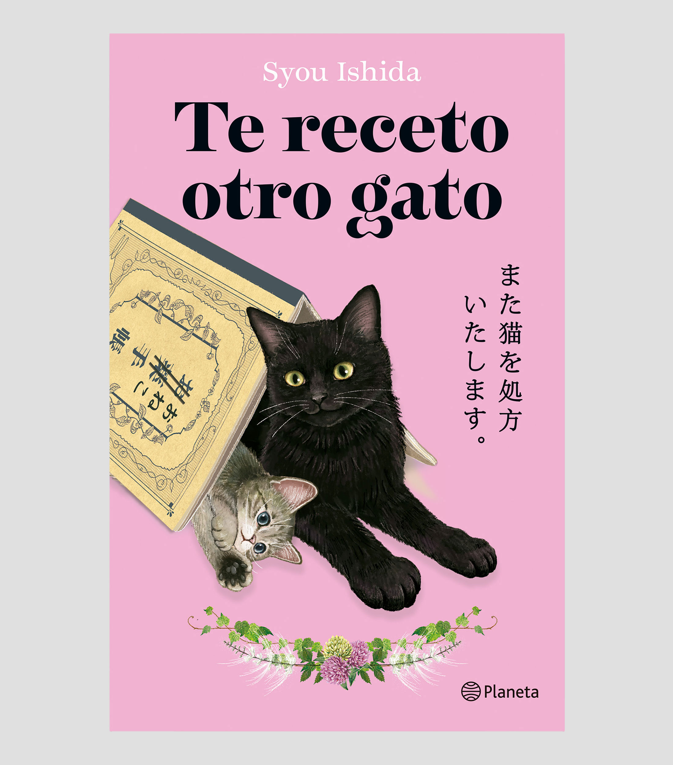 NovelaTe receto otro gato, Syou Ishida