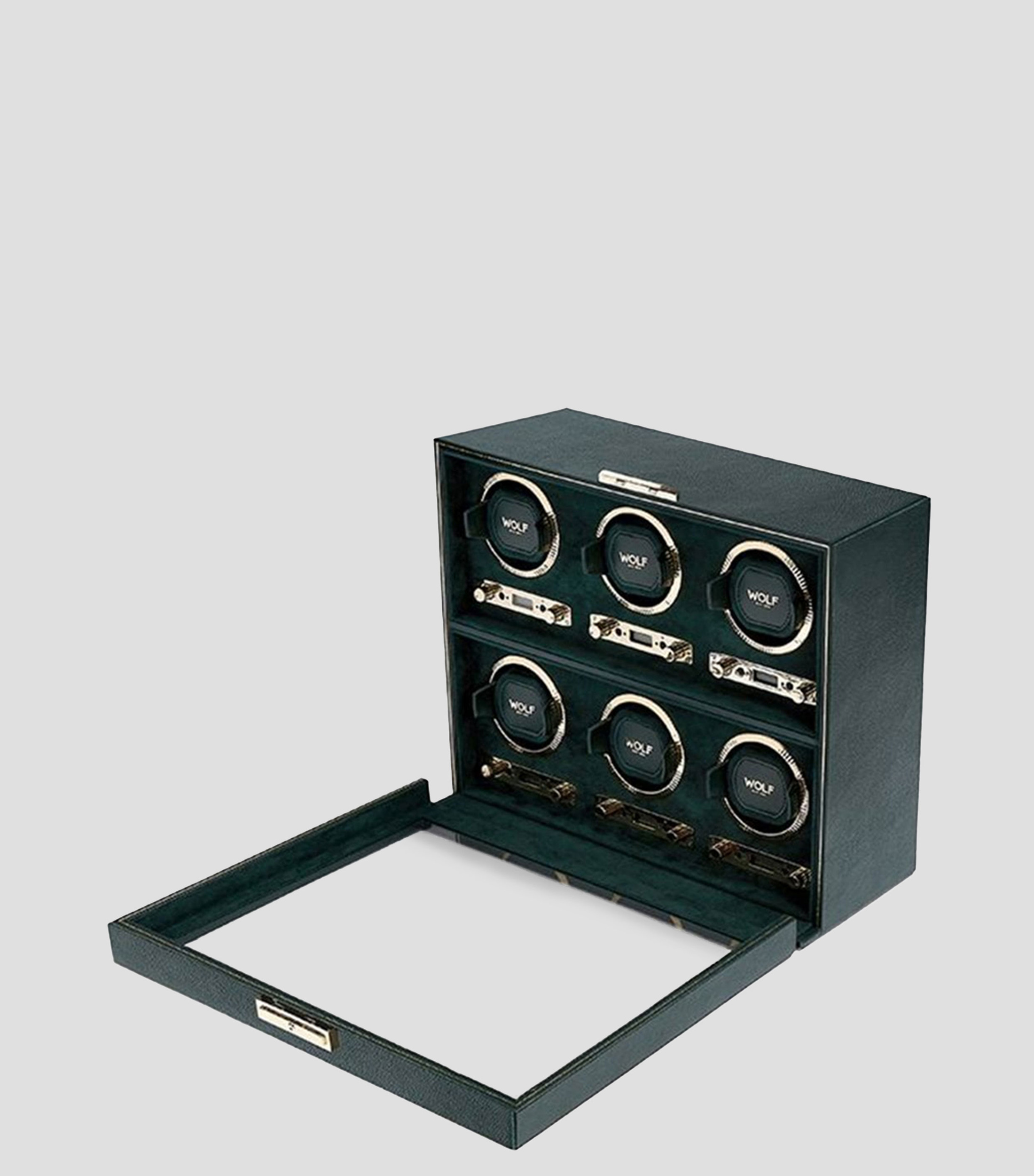 British Racing Watch Winder Green para 6 Piezas