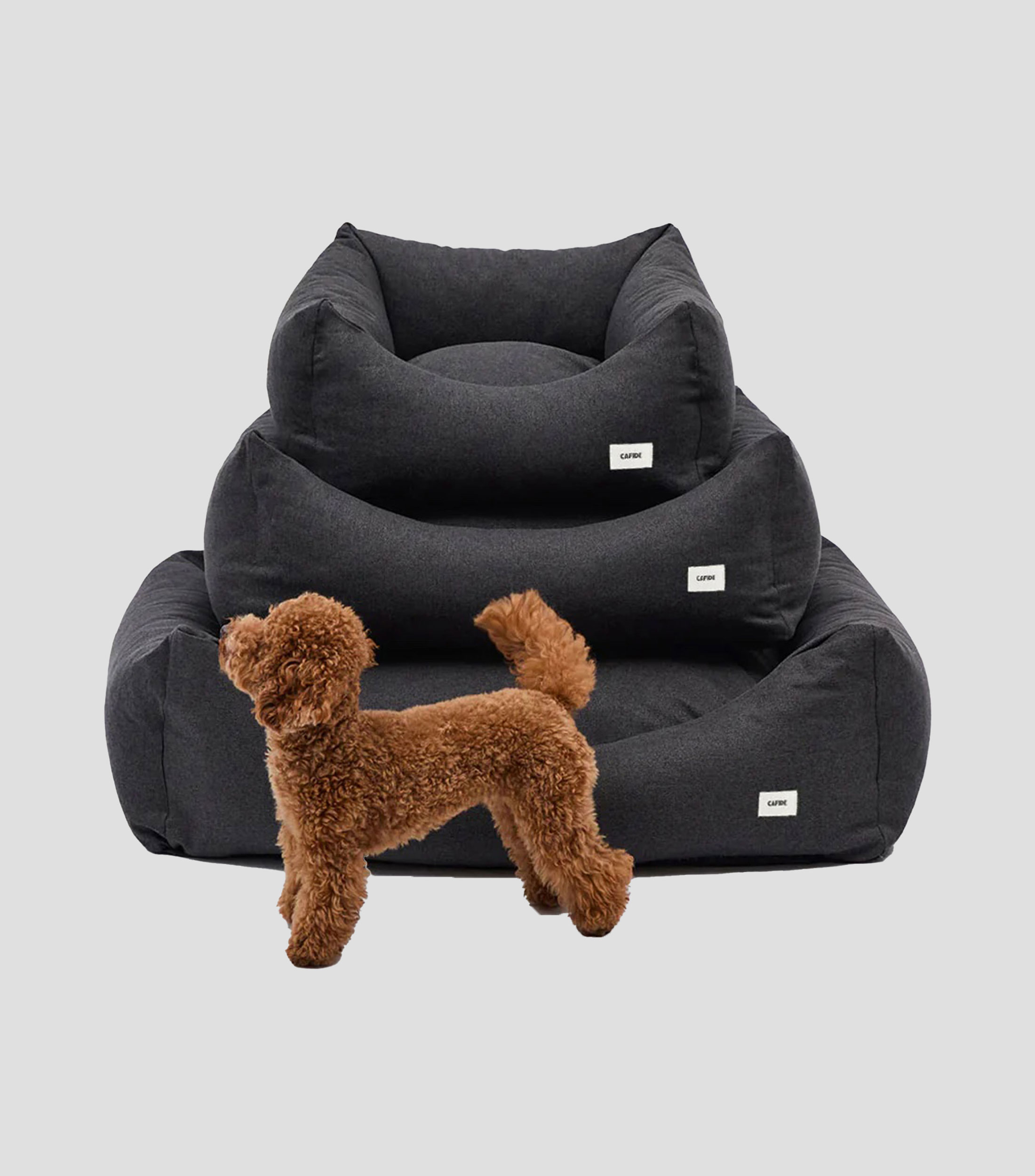 Cama para mascota L Snozy negro antracita