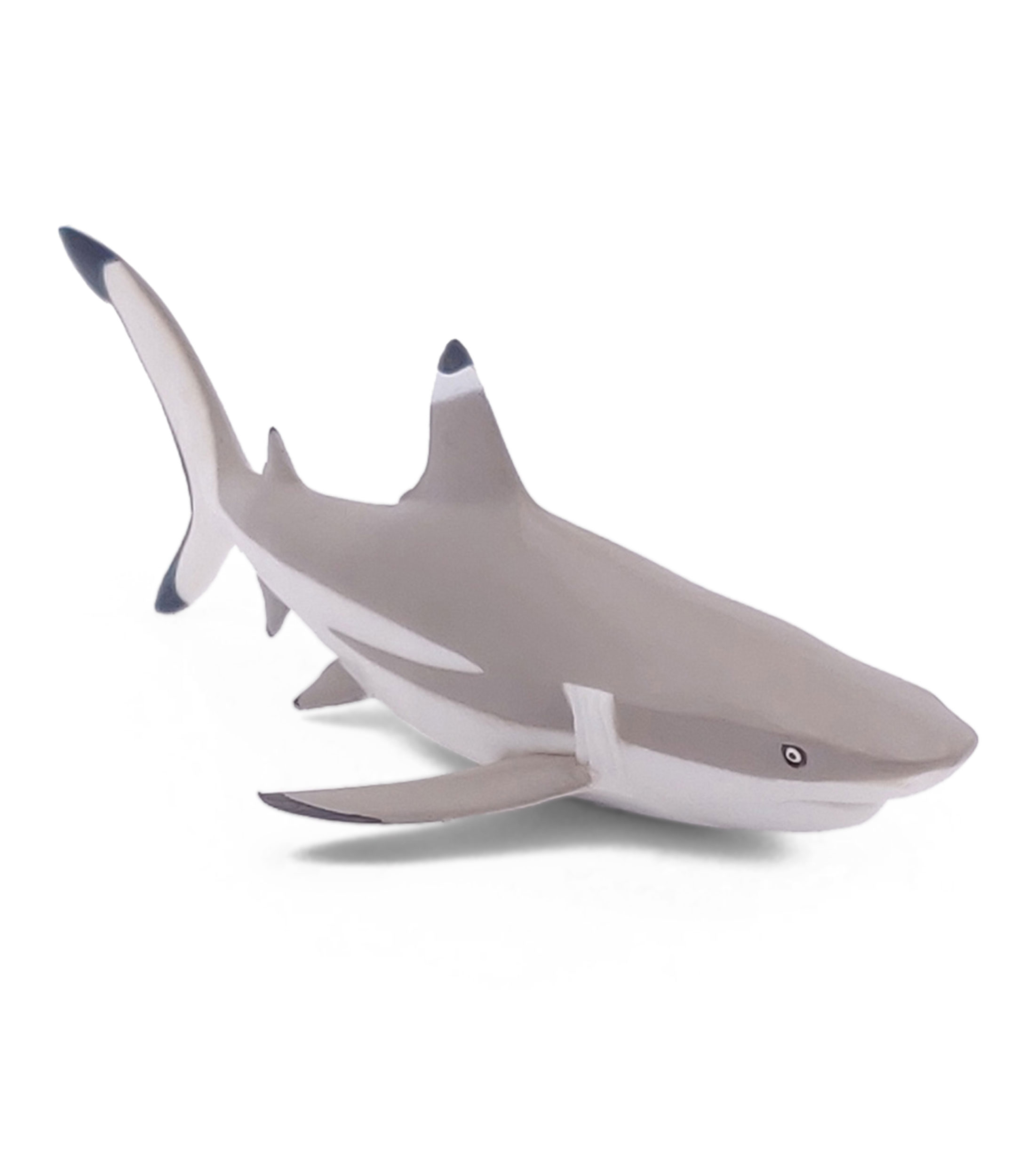 Figura de Tiburón Punta Negra
