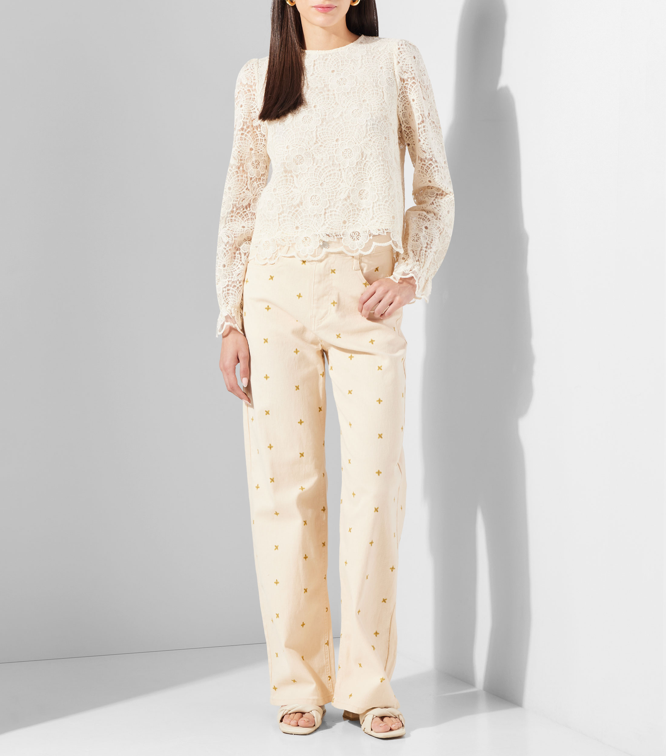 Blusa encaje sólido manga larga Mujer