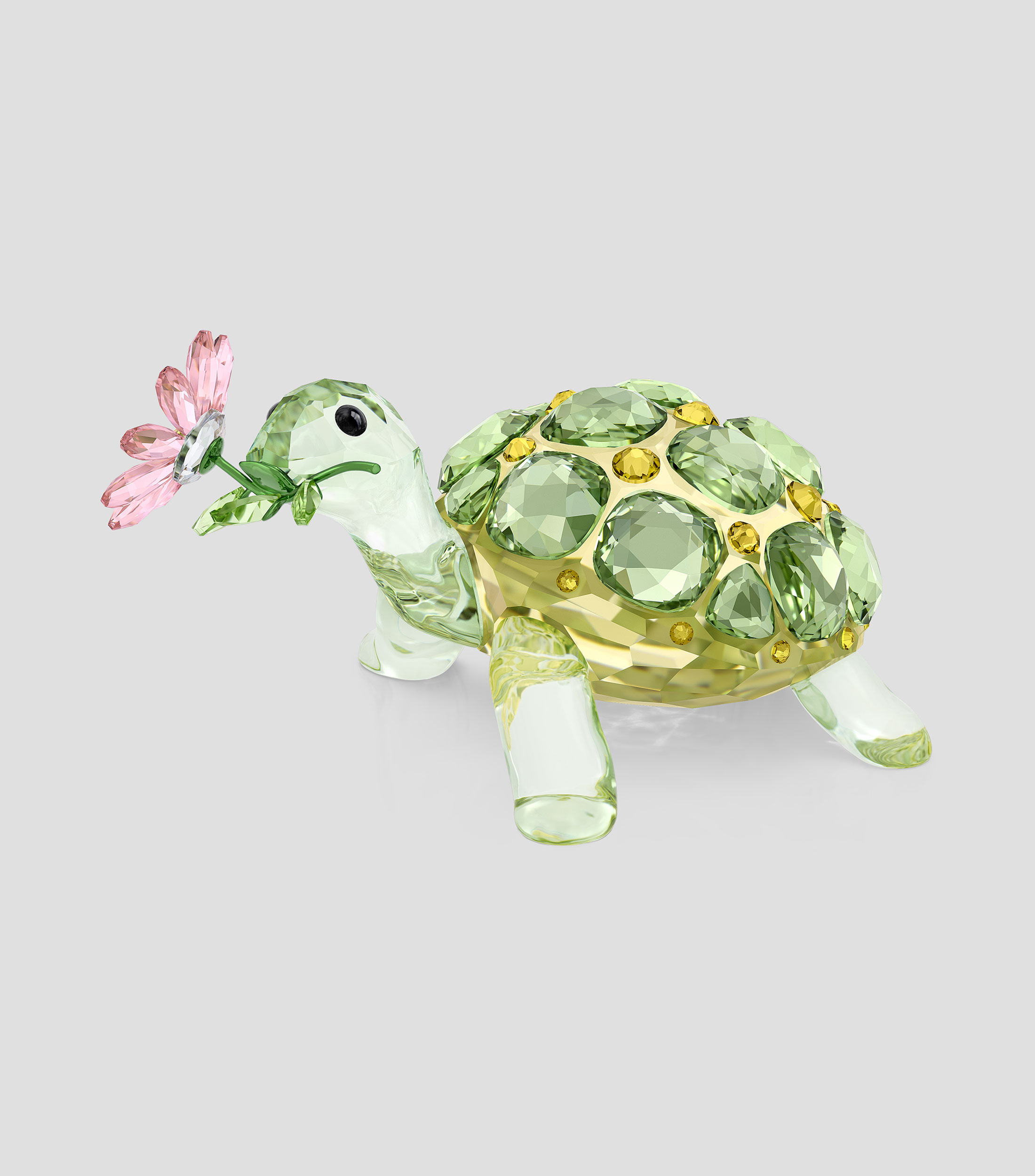Figura decorativa Tortuga y Margarita