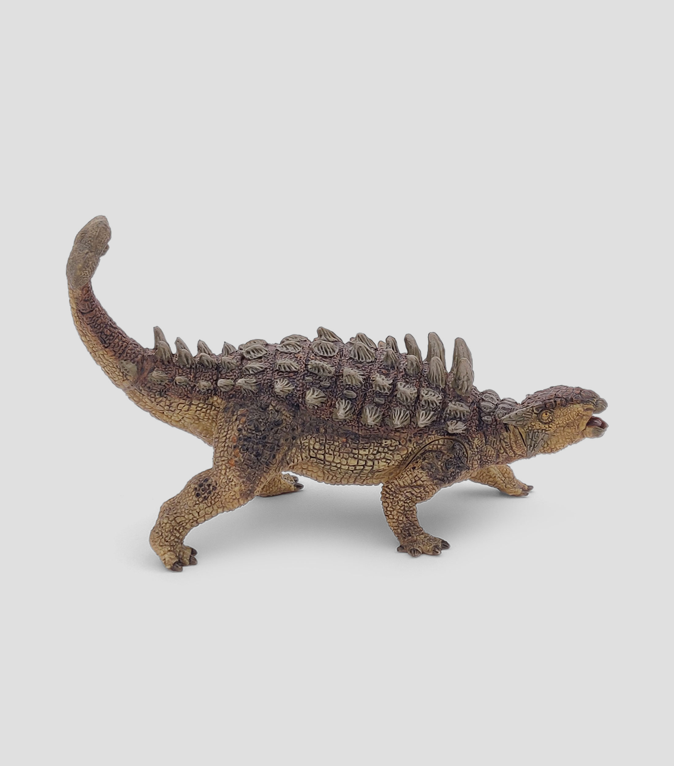Ankylosaurus