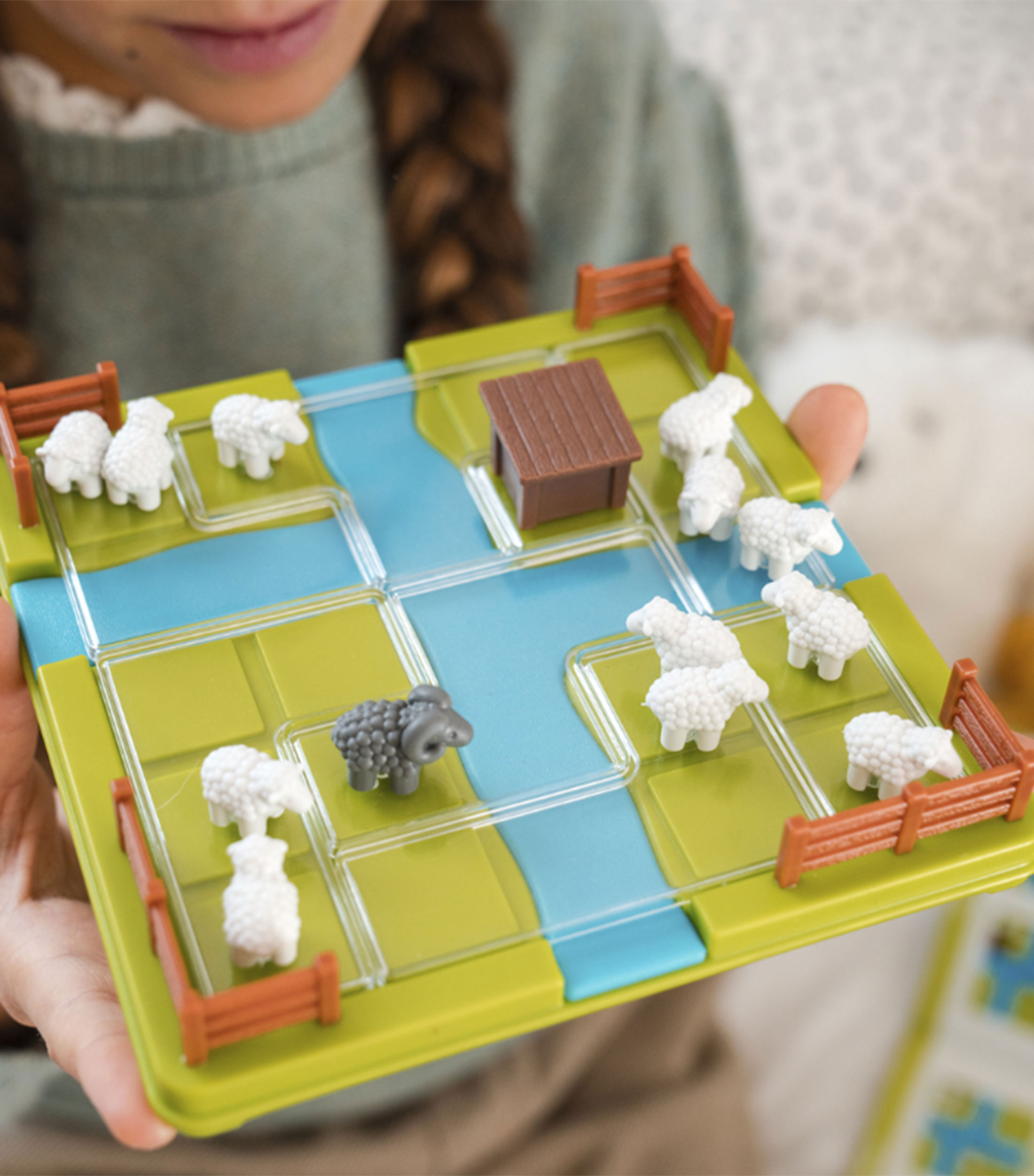 Juego de Mesa Ovejas al Prado: Juego de Lógica