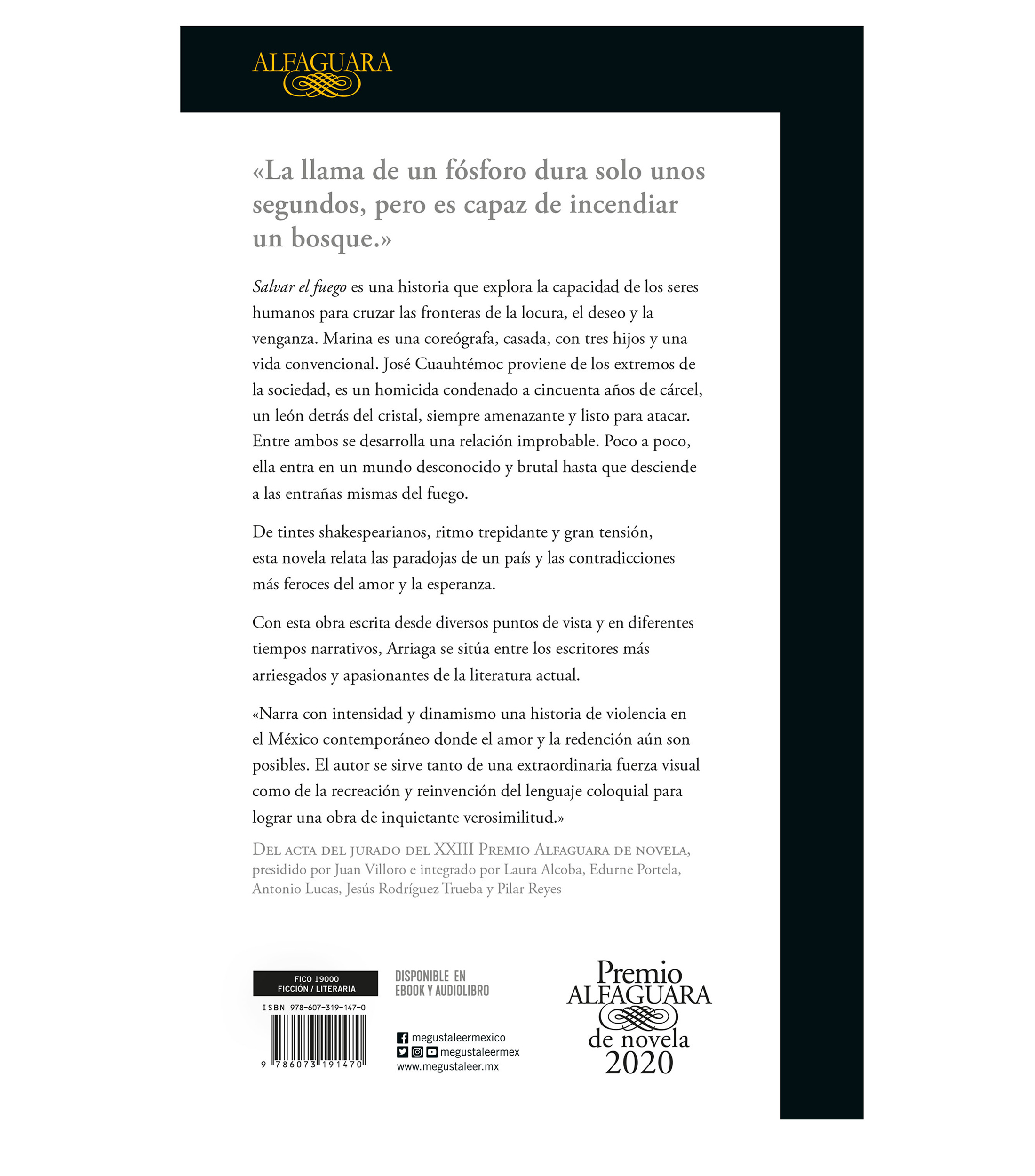 NovelaSalvar el Fuego, Guillermo Arriaga
