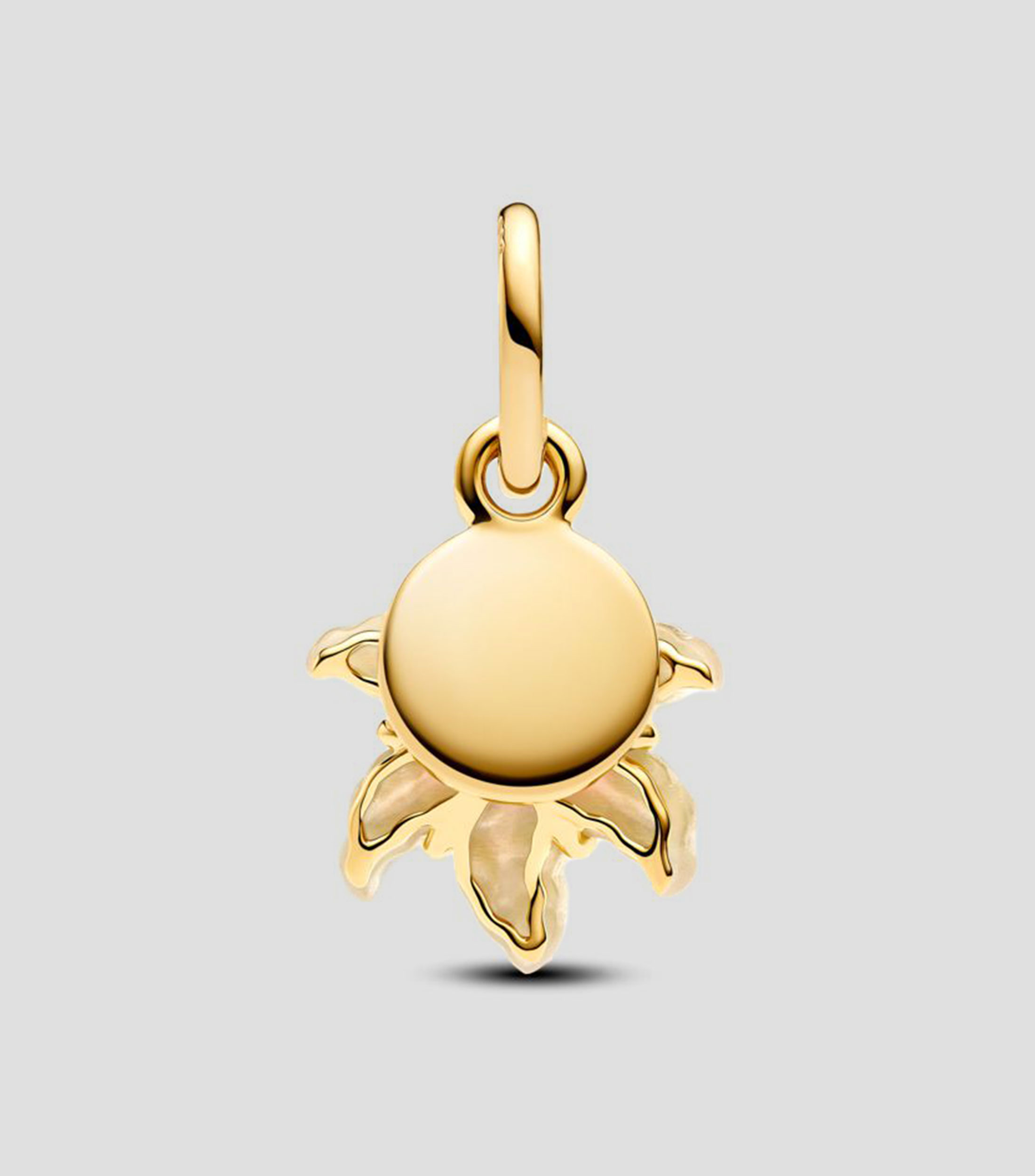 Charm en Plata .925 Tangled Dangle Unisex