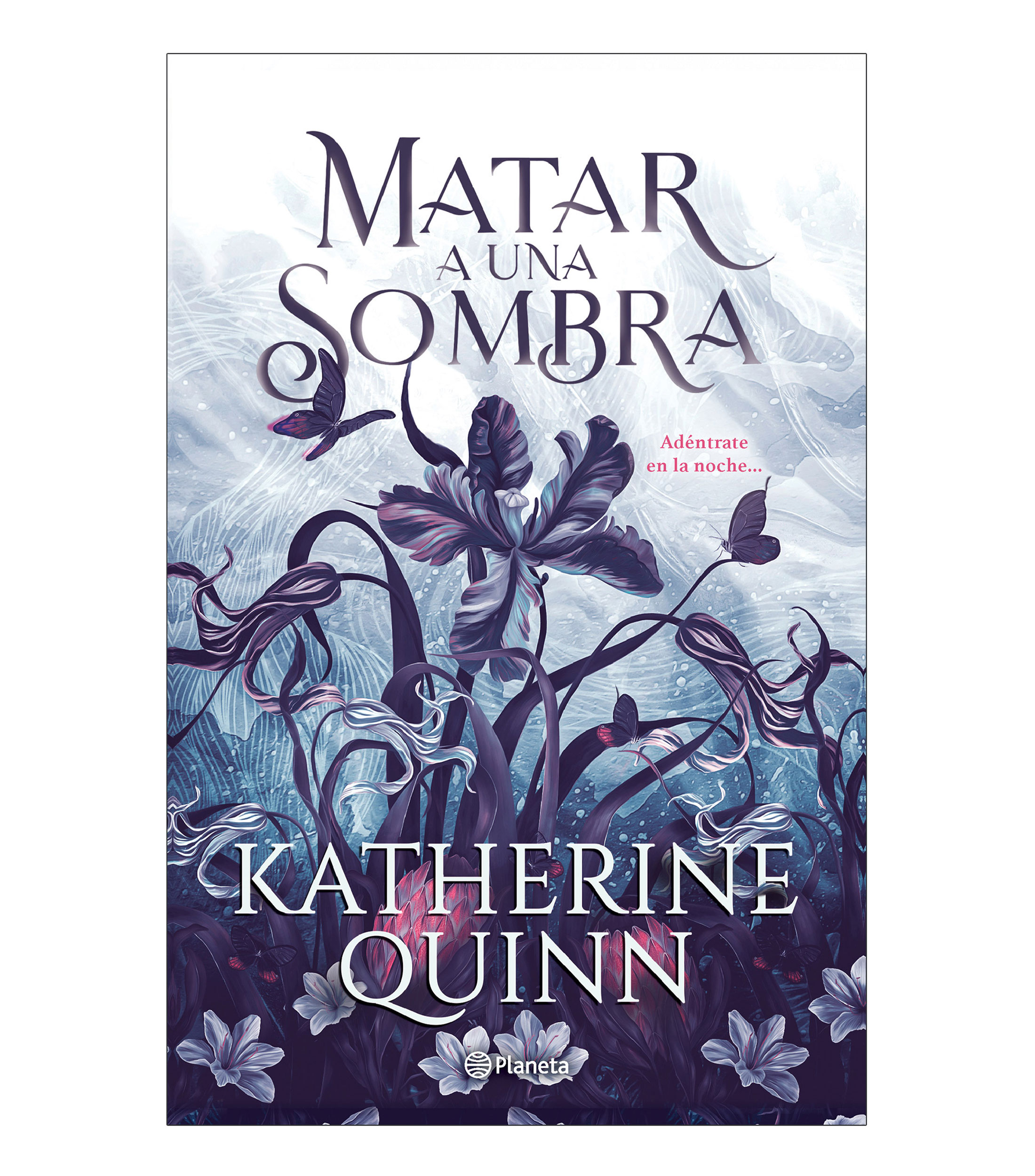 JóvenesMatar a una Sombra, Katherine Quinn
