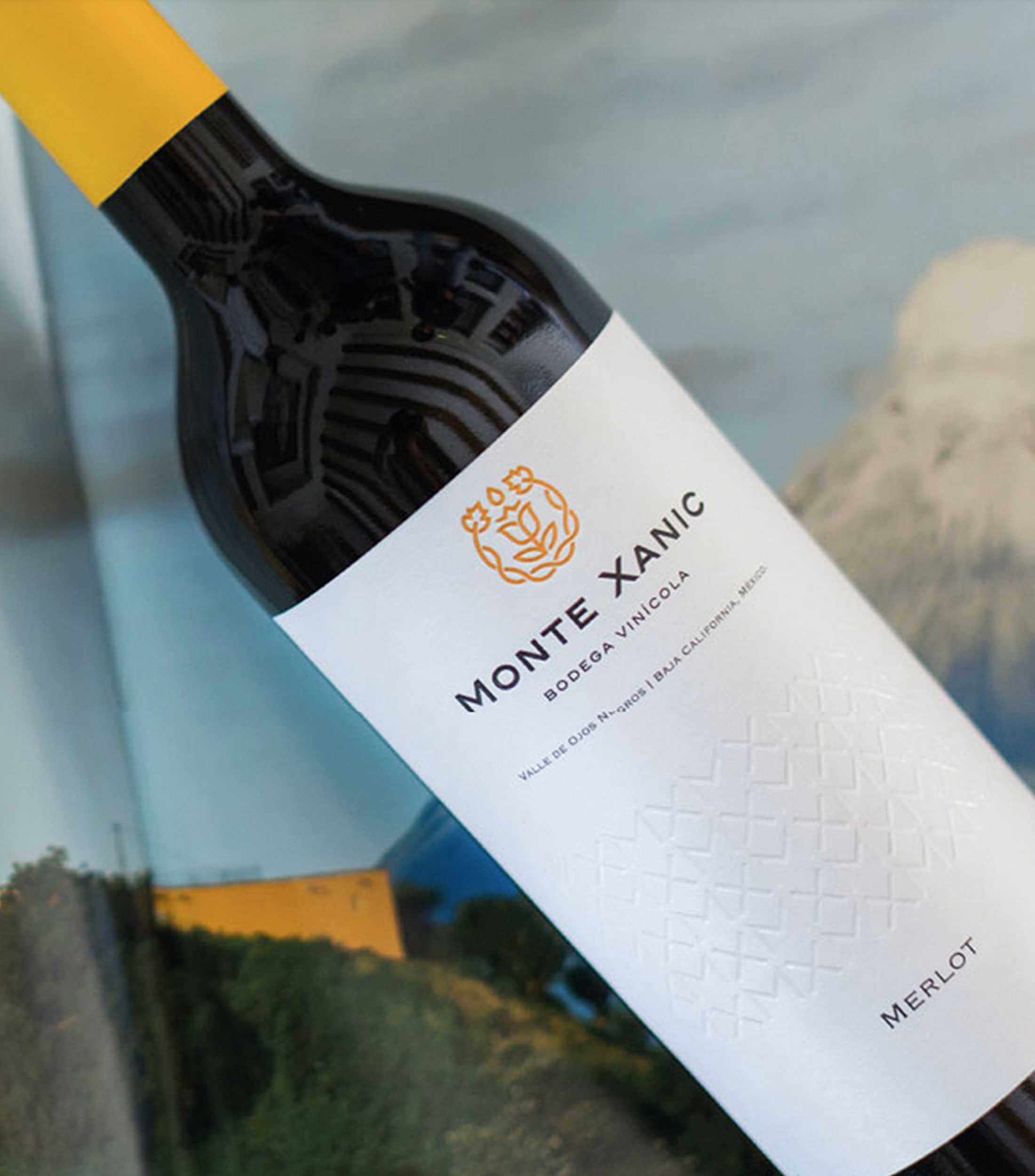 Vino Tinto Merlot, 750 ml