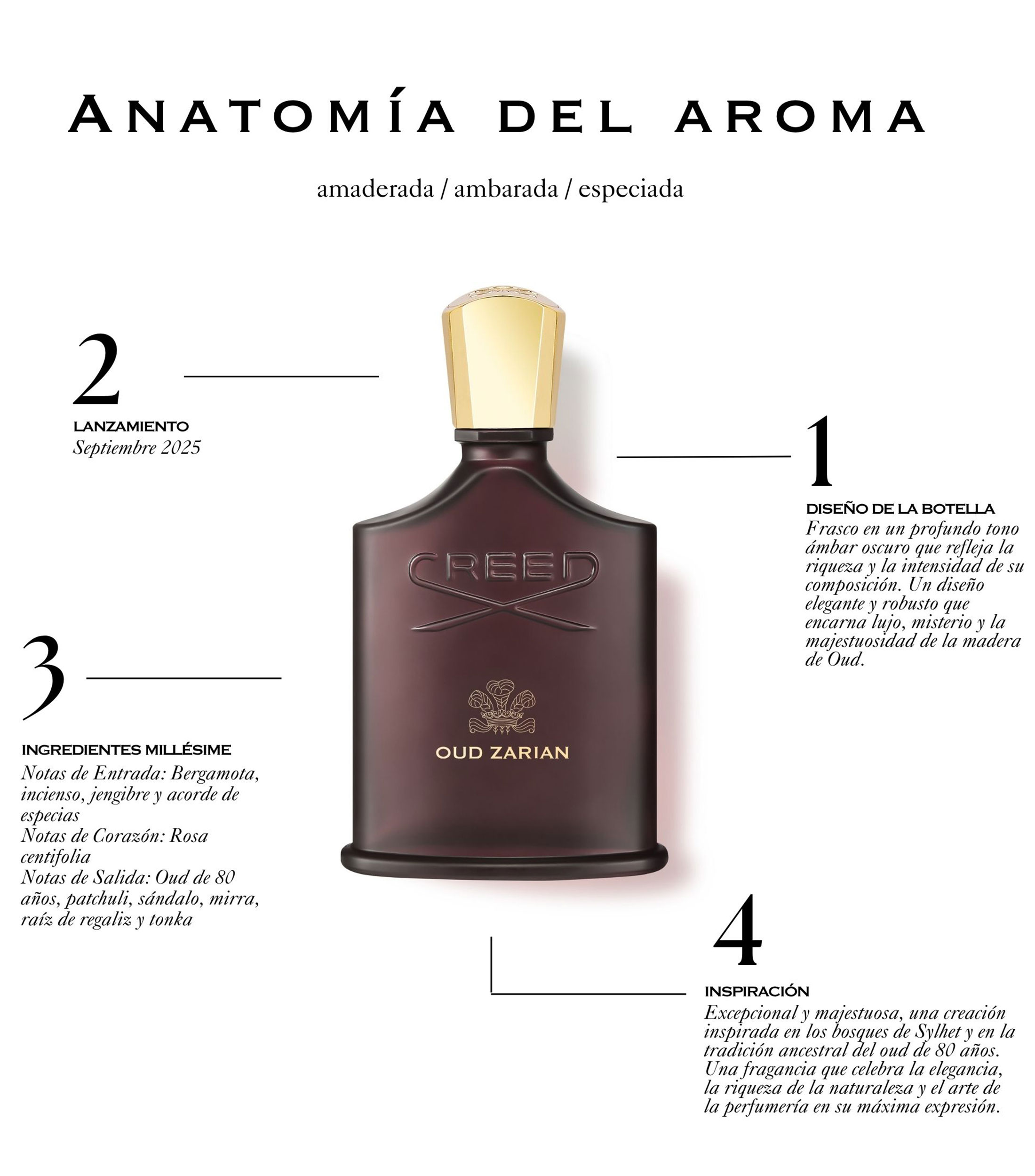 Perfume Oud Zarian, Parfum 100 ml para Hombre