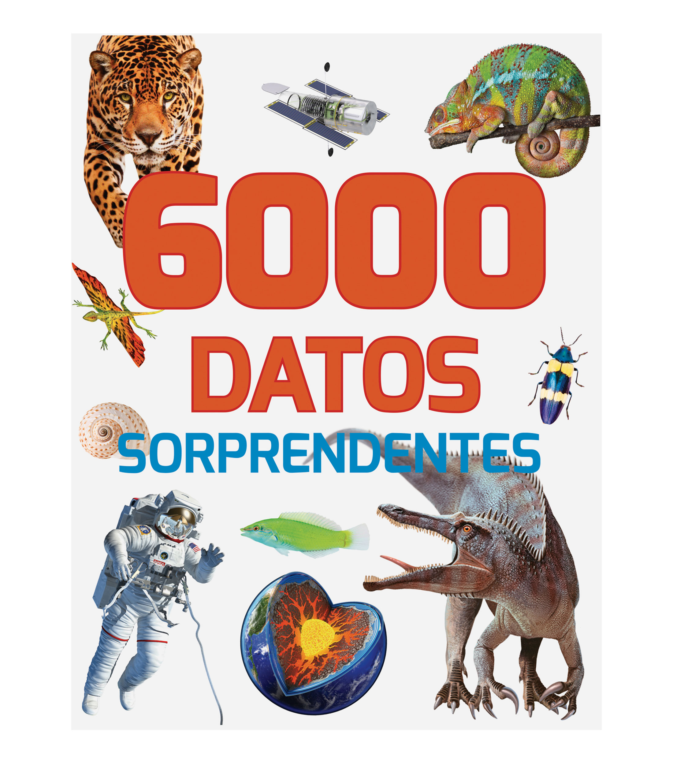 Infantiles6000 Datos Sorprendentes, Milles Kelly