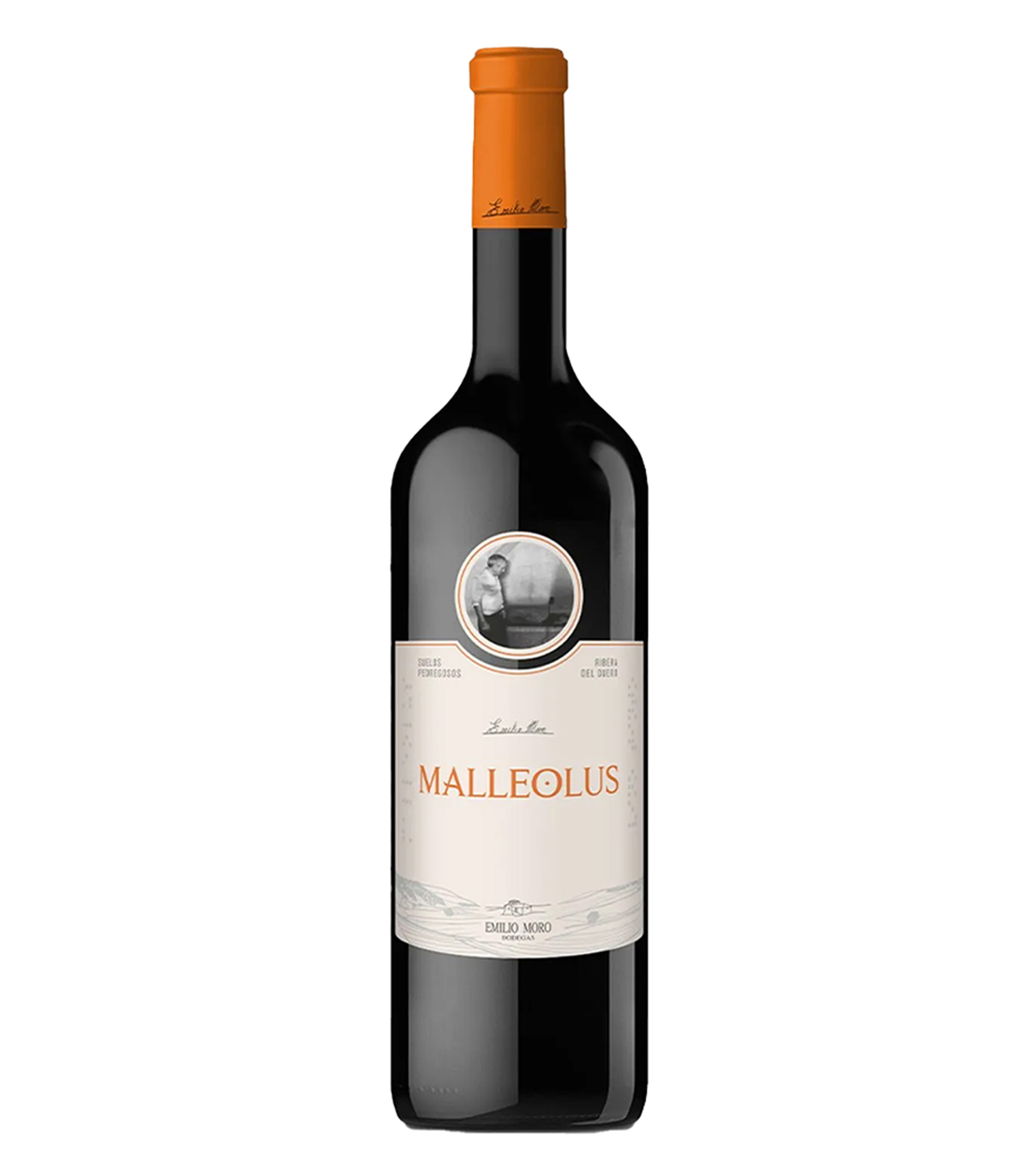 Vino Tinto Malleolus, Ribera del Duero 750 ml