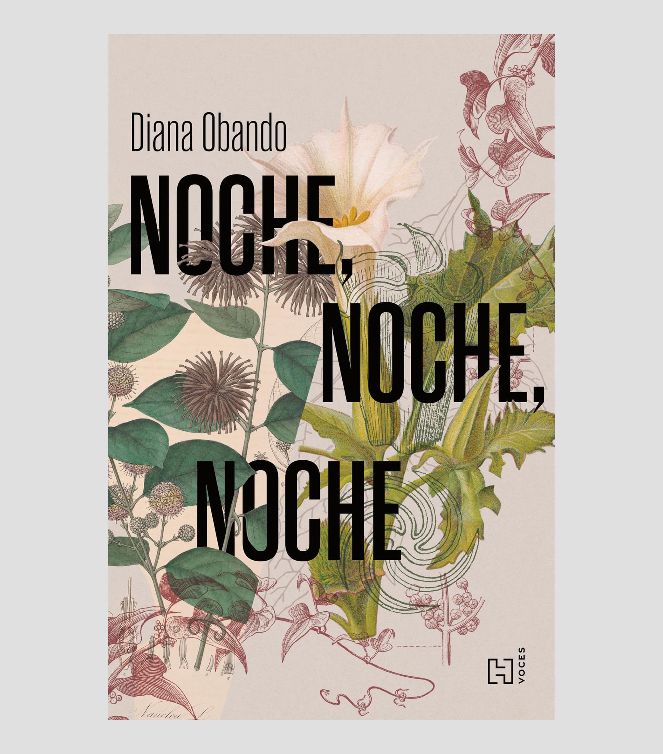 NovelaNoche, Noche, Noche, Obando Valbuena, Diana Lorena