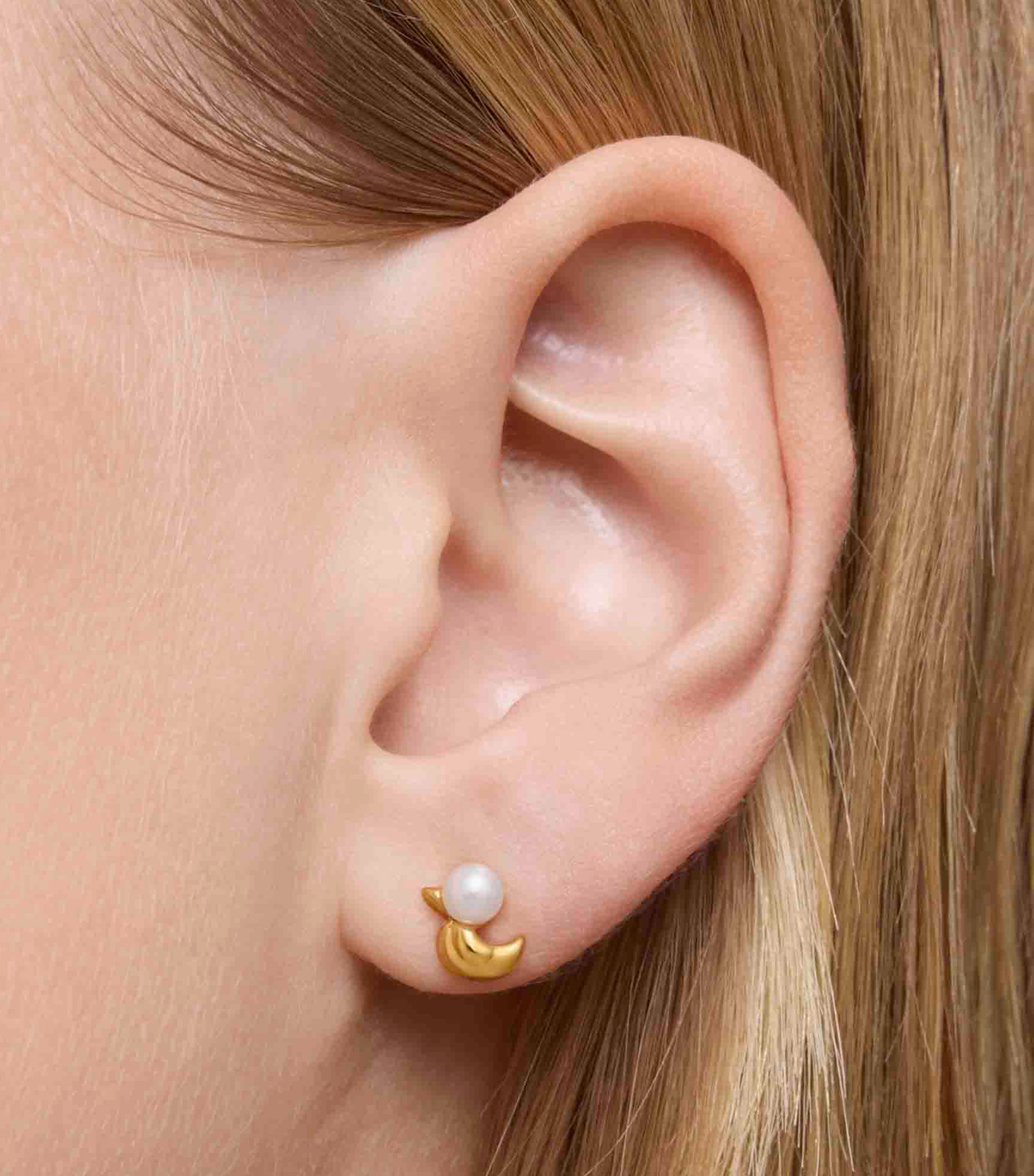Set 2 Pares de aretes en Plata Virtual Garden Mujer