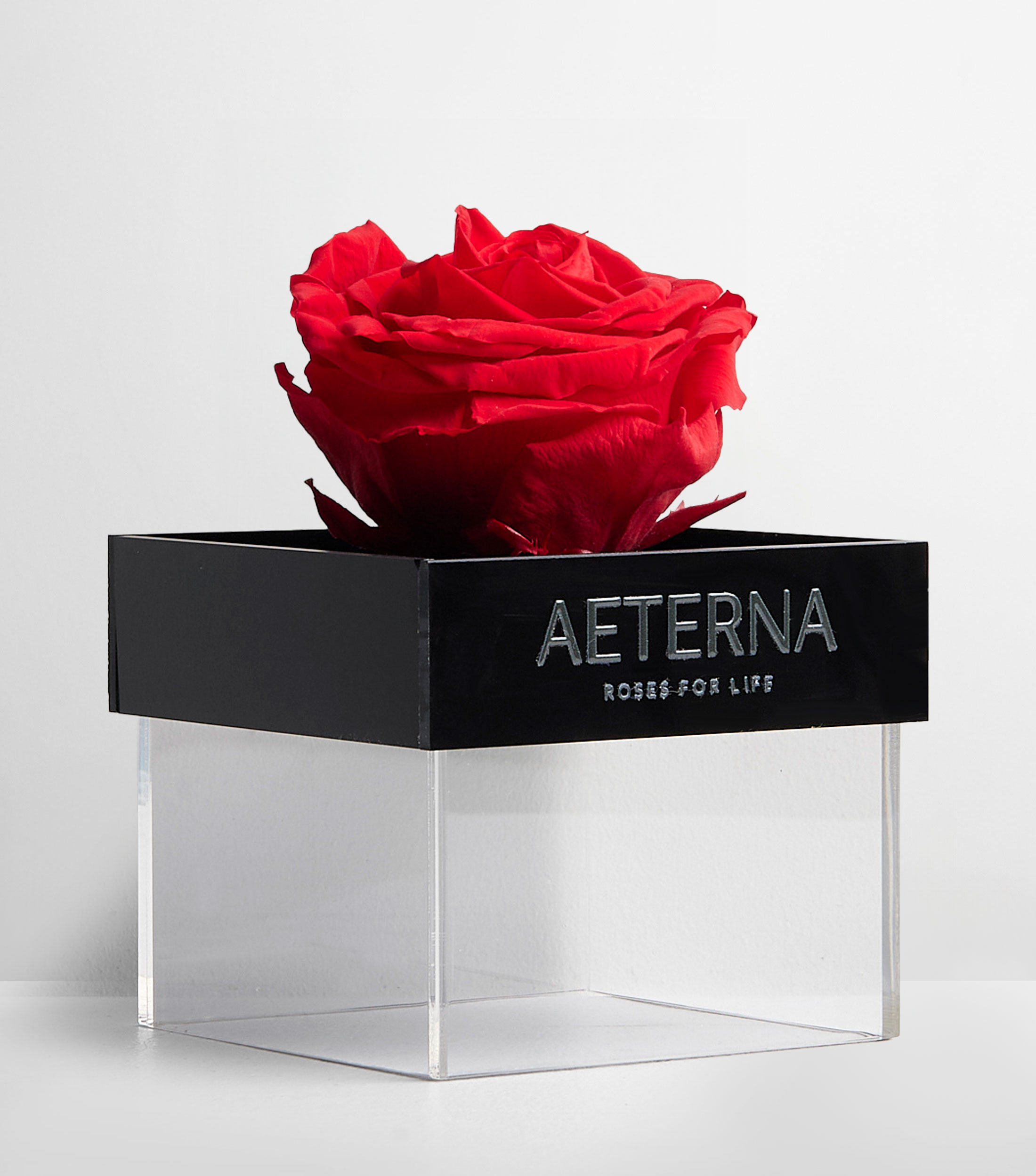 Caja decorativa Rosa Roja en acrílico y madera