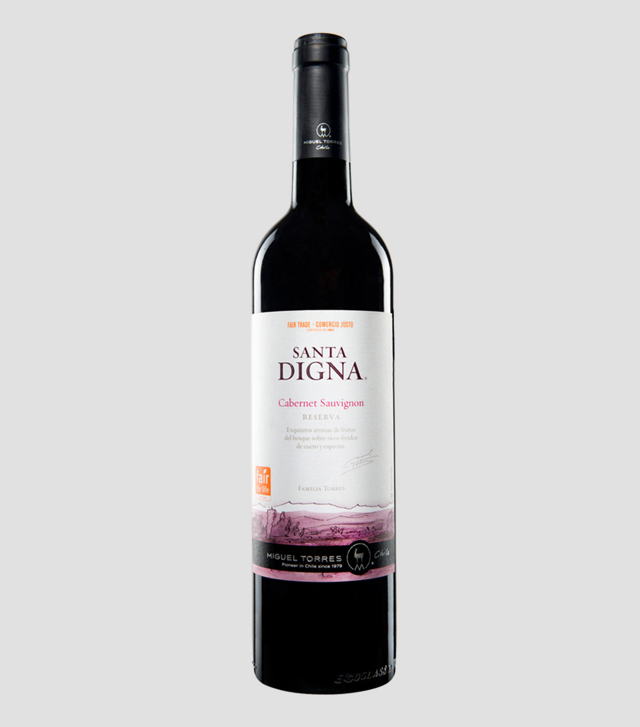 Vino Tinto Cabernet Sauvignon, 750 ml
