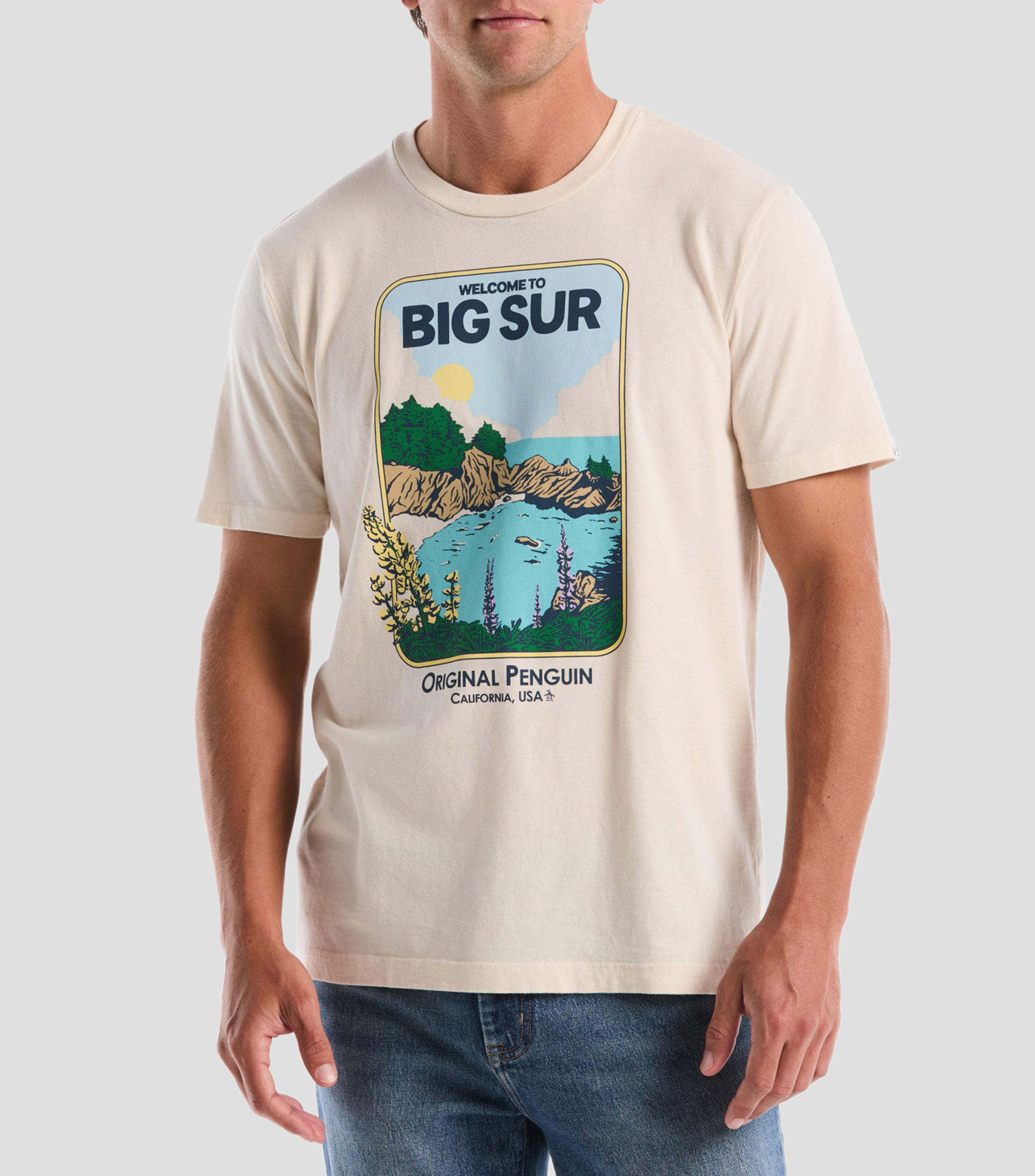 Playera cuello redondo manga corta estampada Hombre