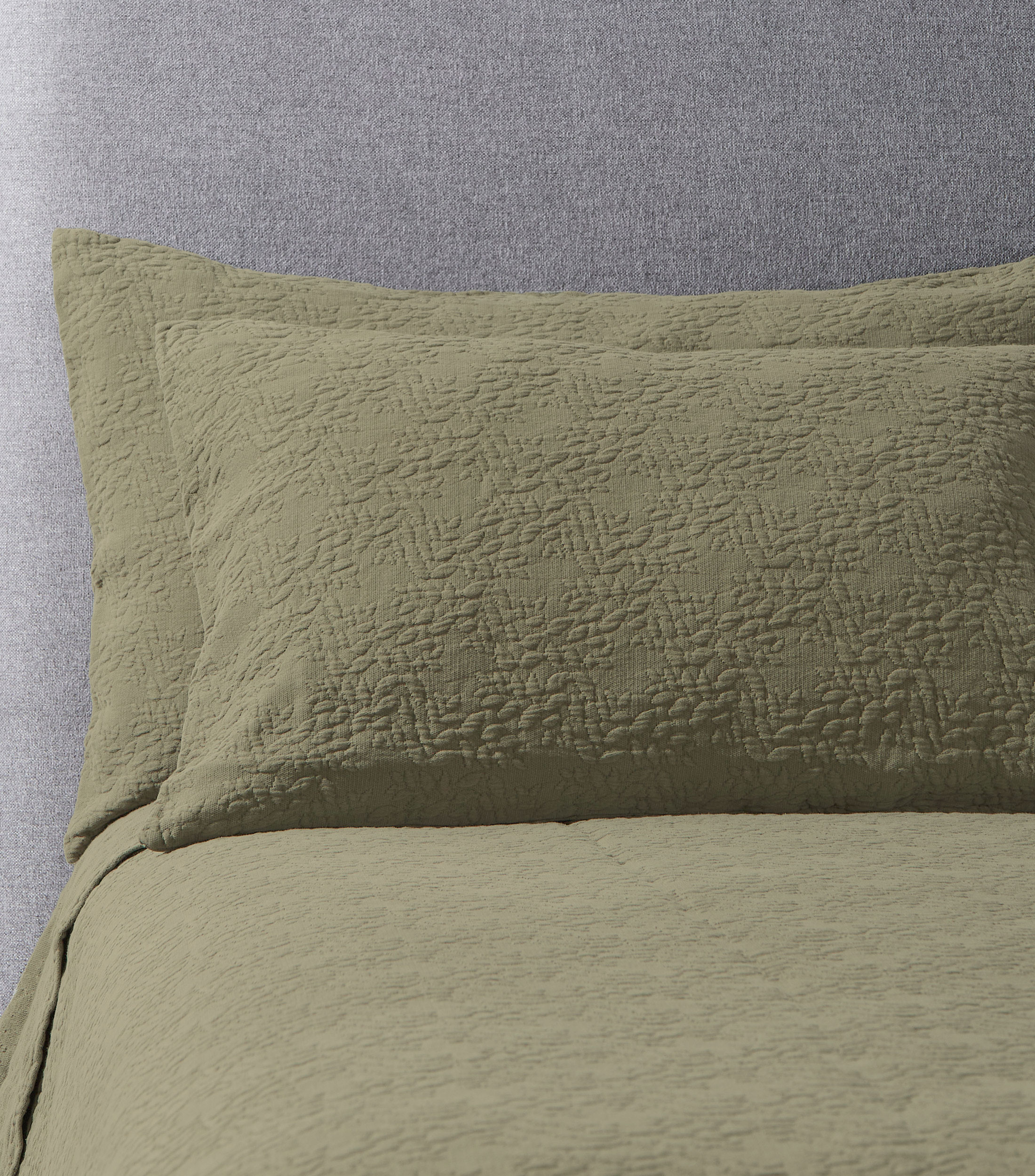 Funda para almohada Estándar en algodón verde