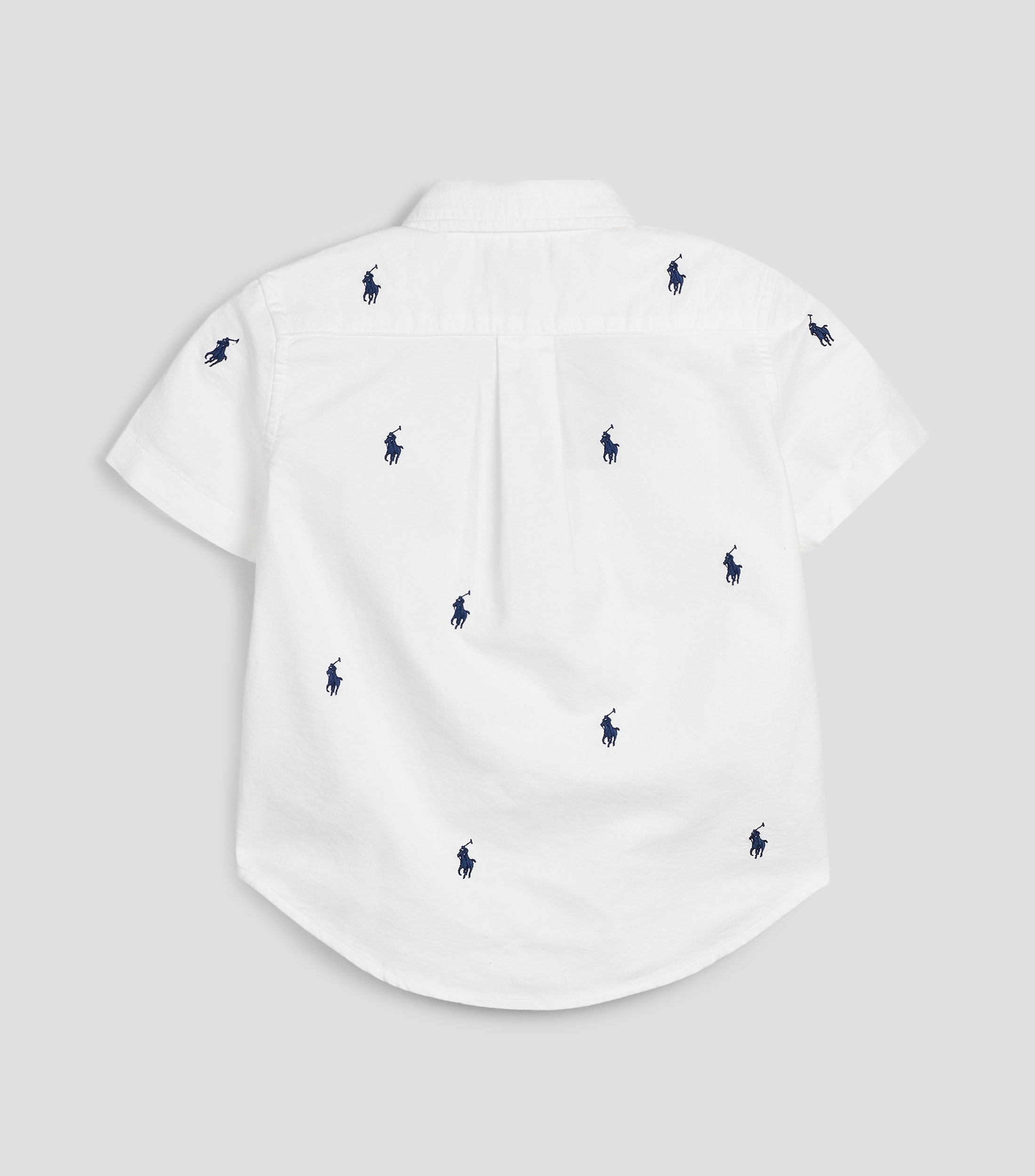 Camisa fantasía manga corta Niño