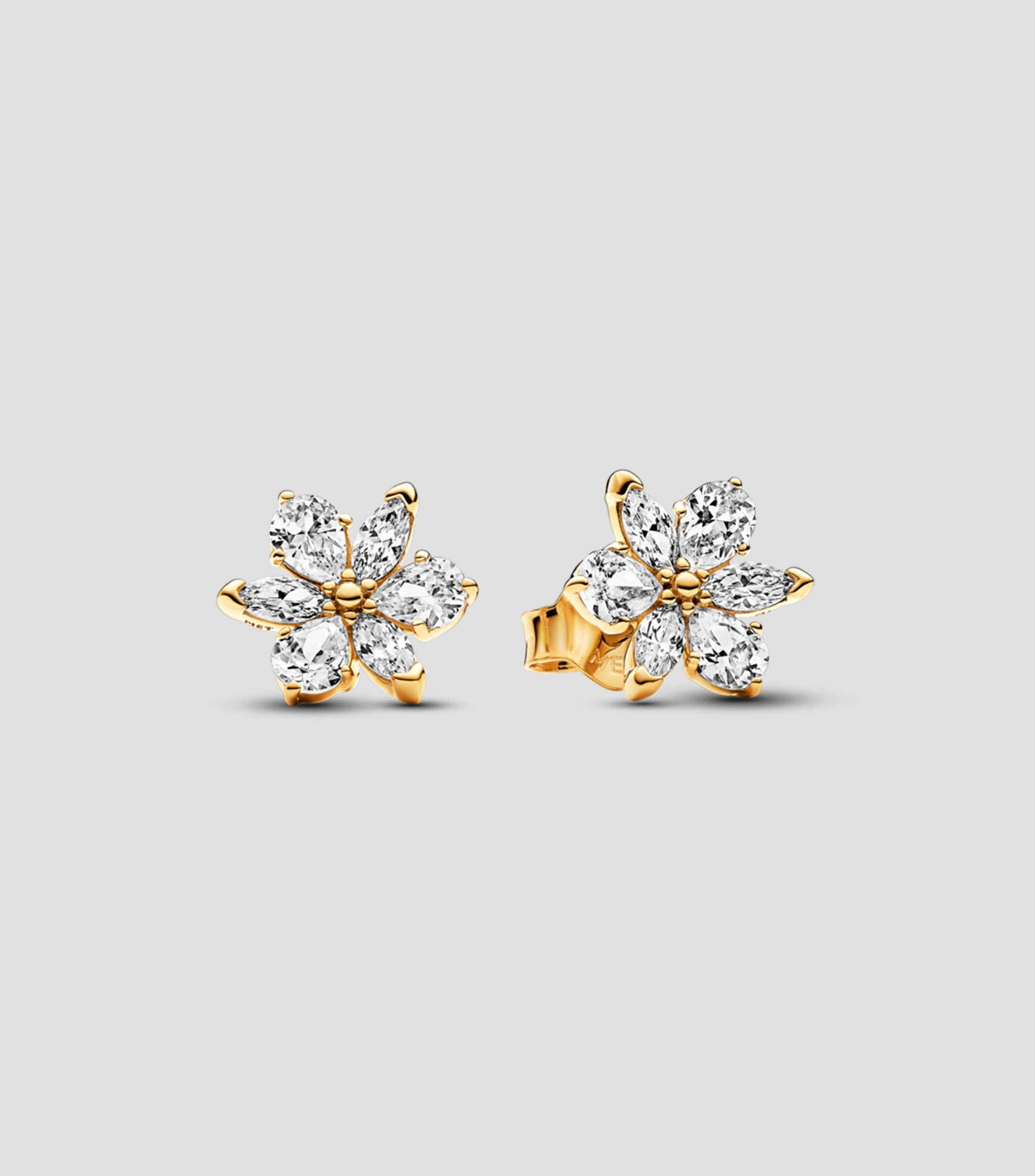 Aretes en plata con forma de flor Mujer